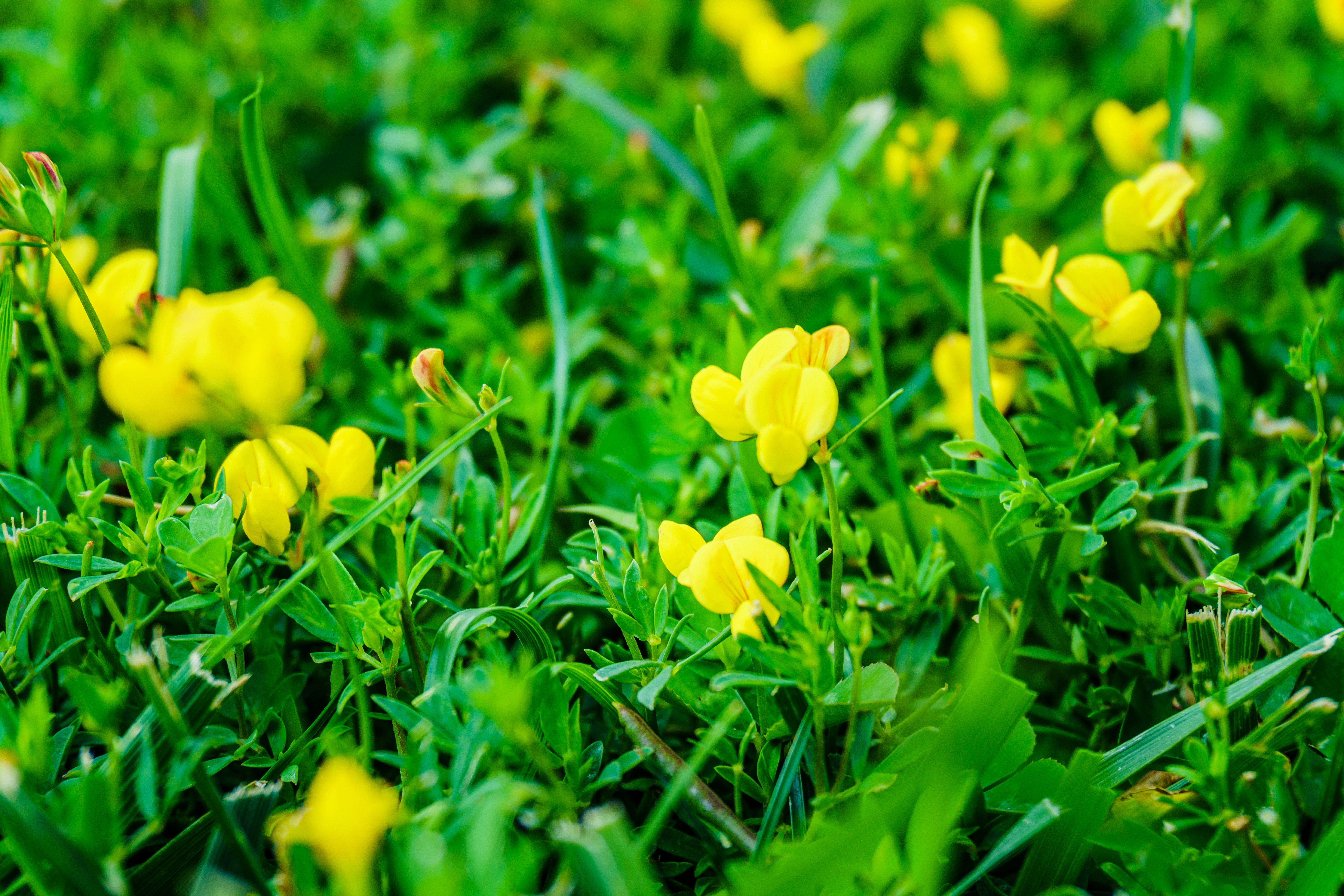 Photo by zulfugarkarimov