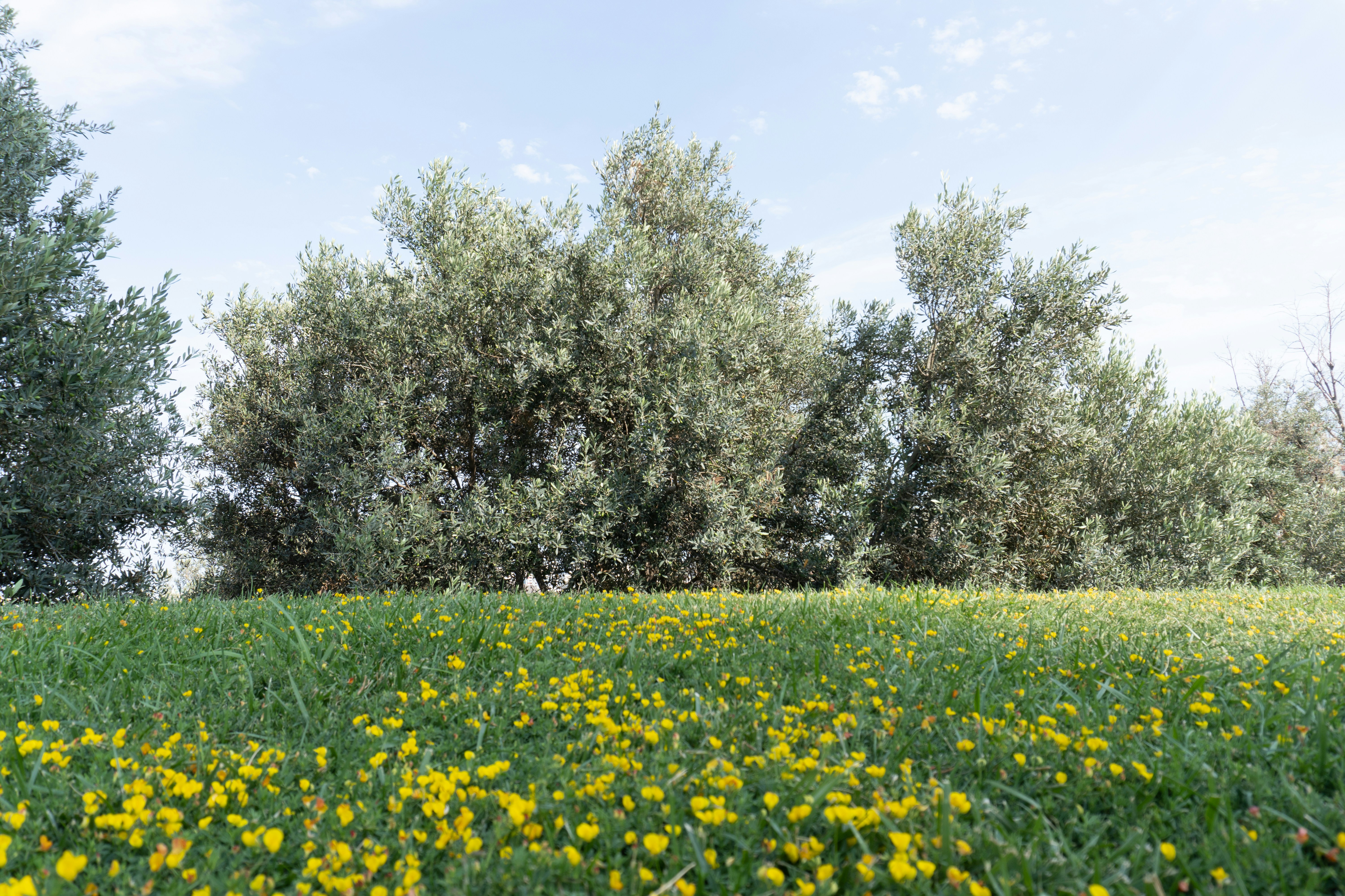 Photo by zulfugarkarimov