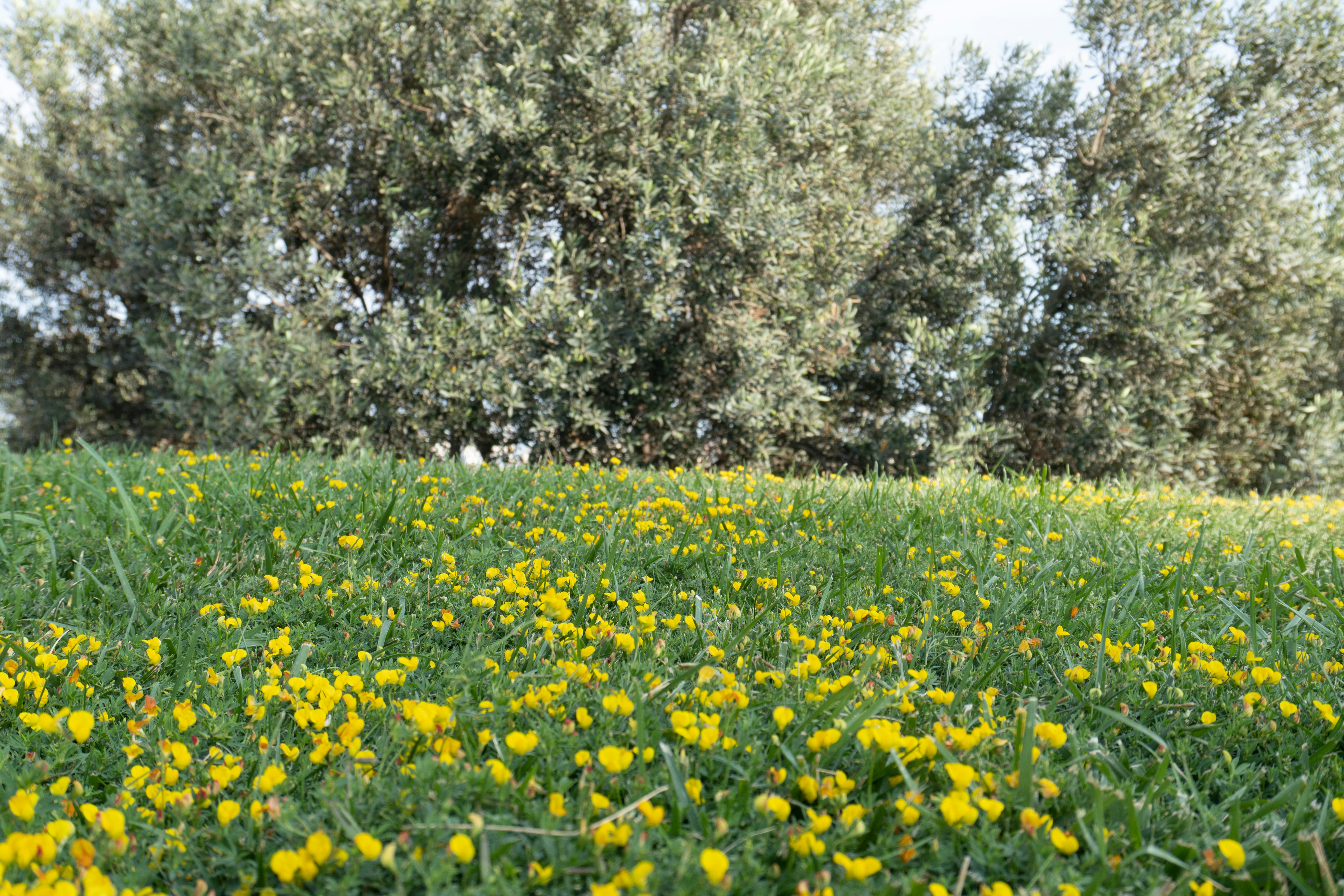 Photo by zulfugarkarimov