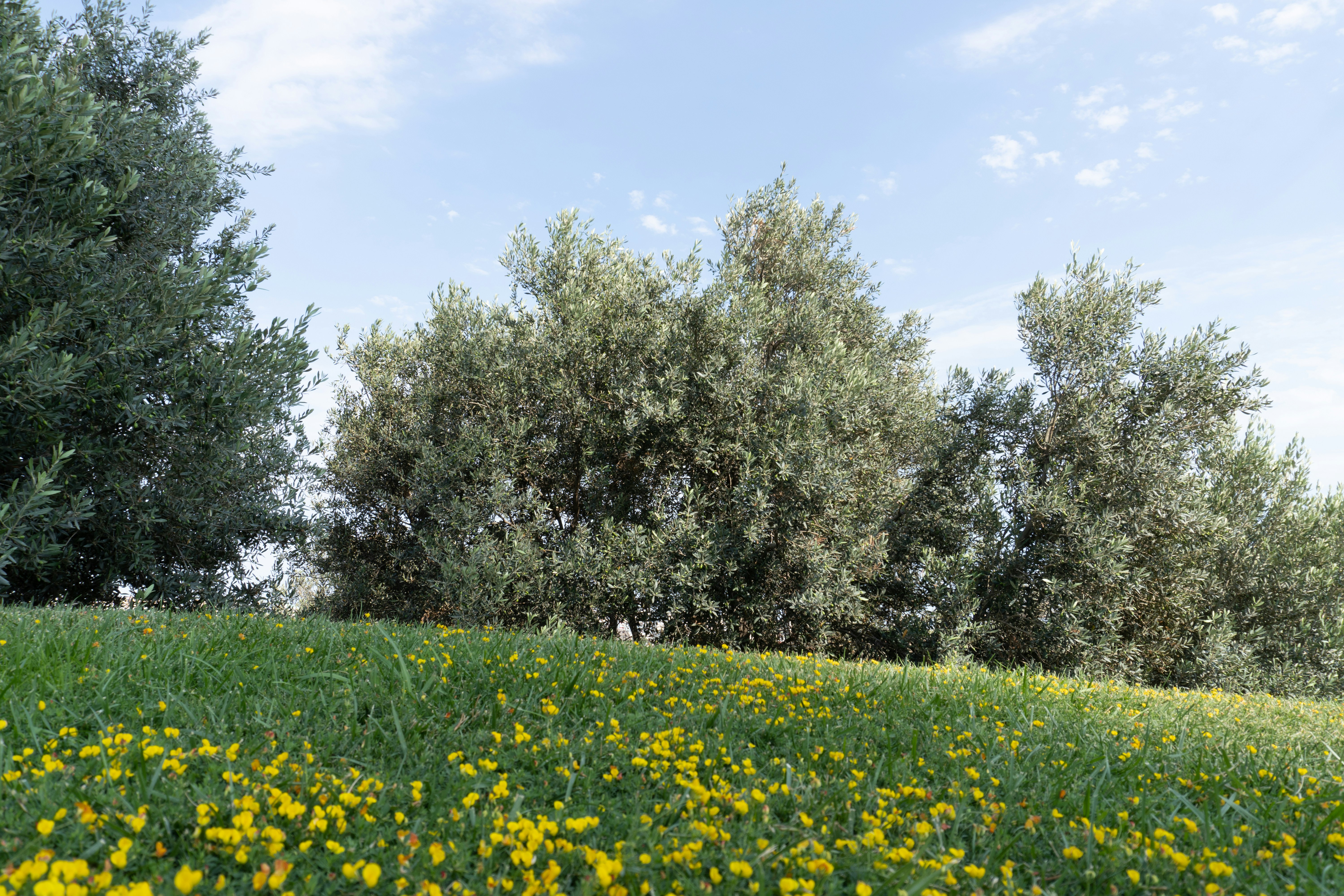 Photo by zulfugarkarimov