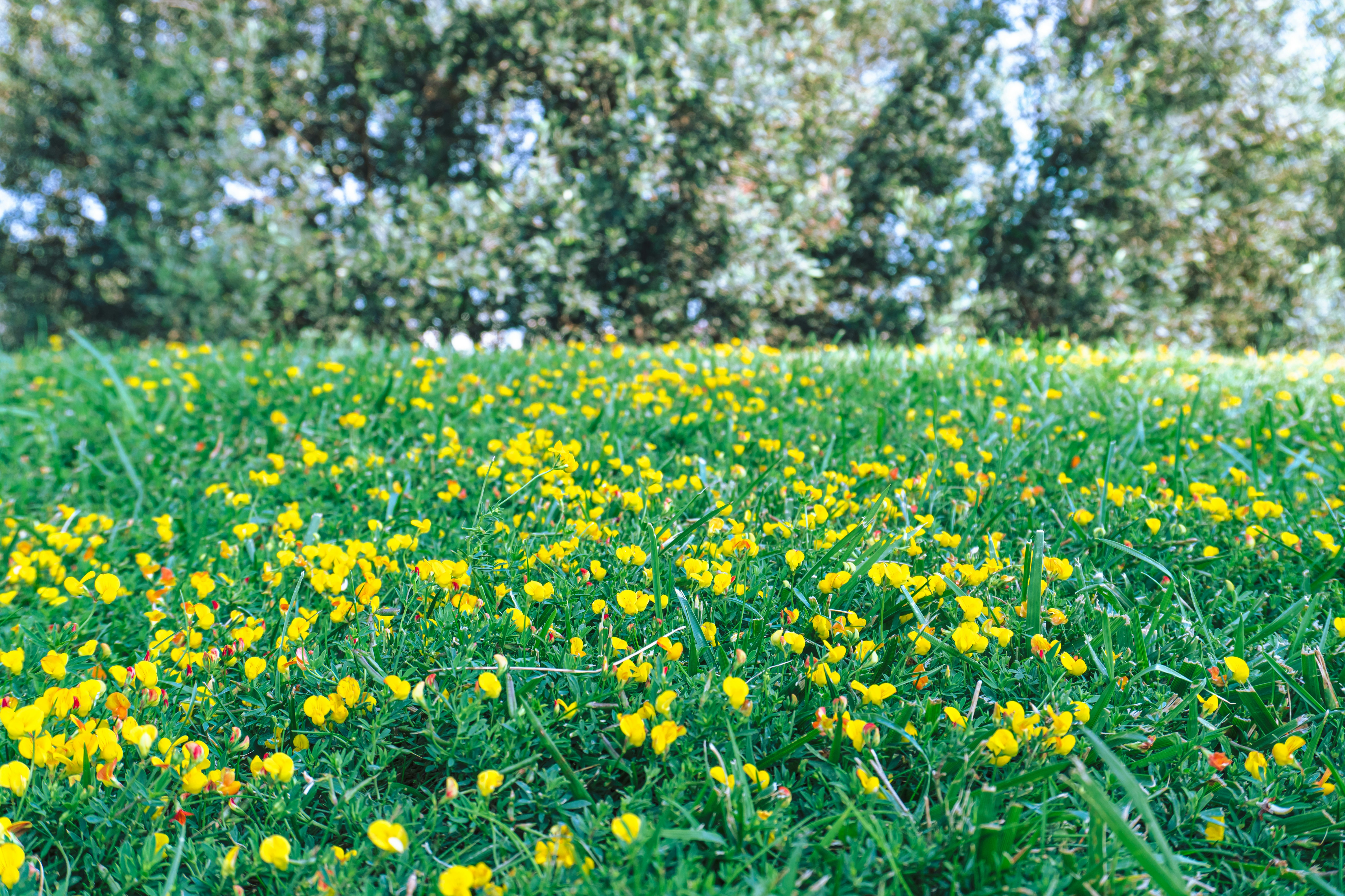 Photo by zulfugarkarimov