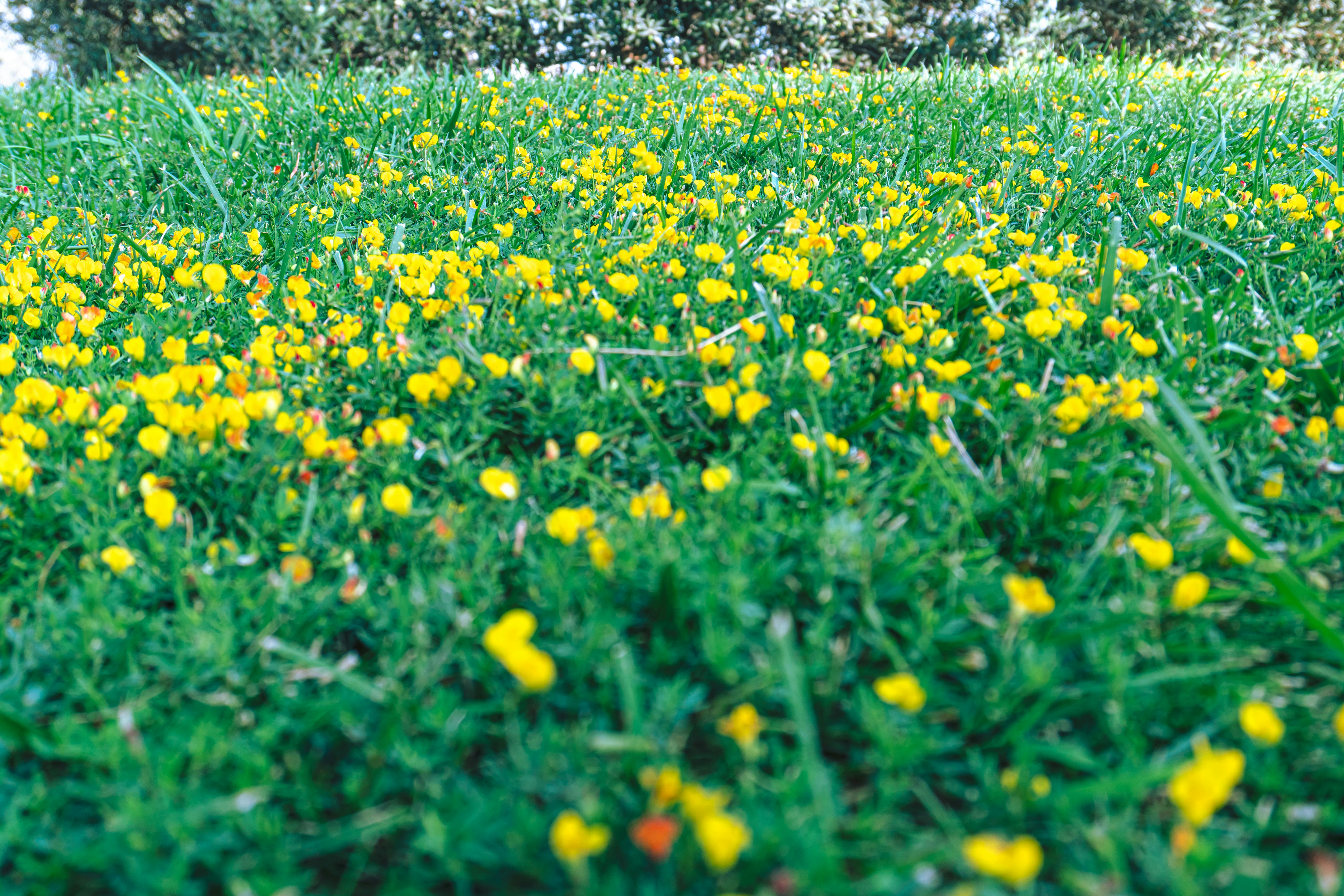 Photo by zulfugarkarimov