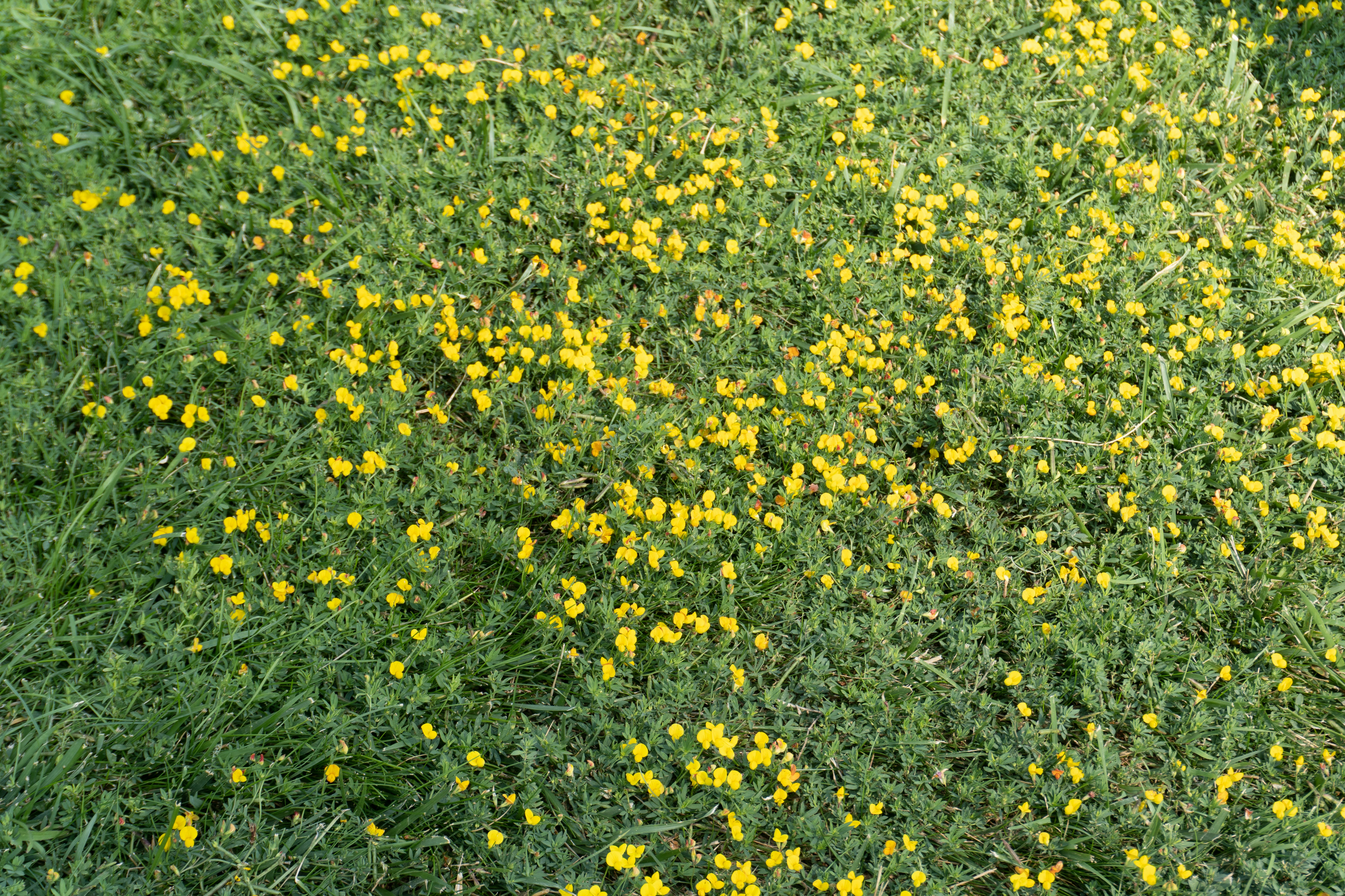 Photo by zulfugarkarimov