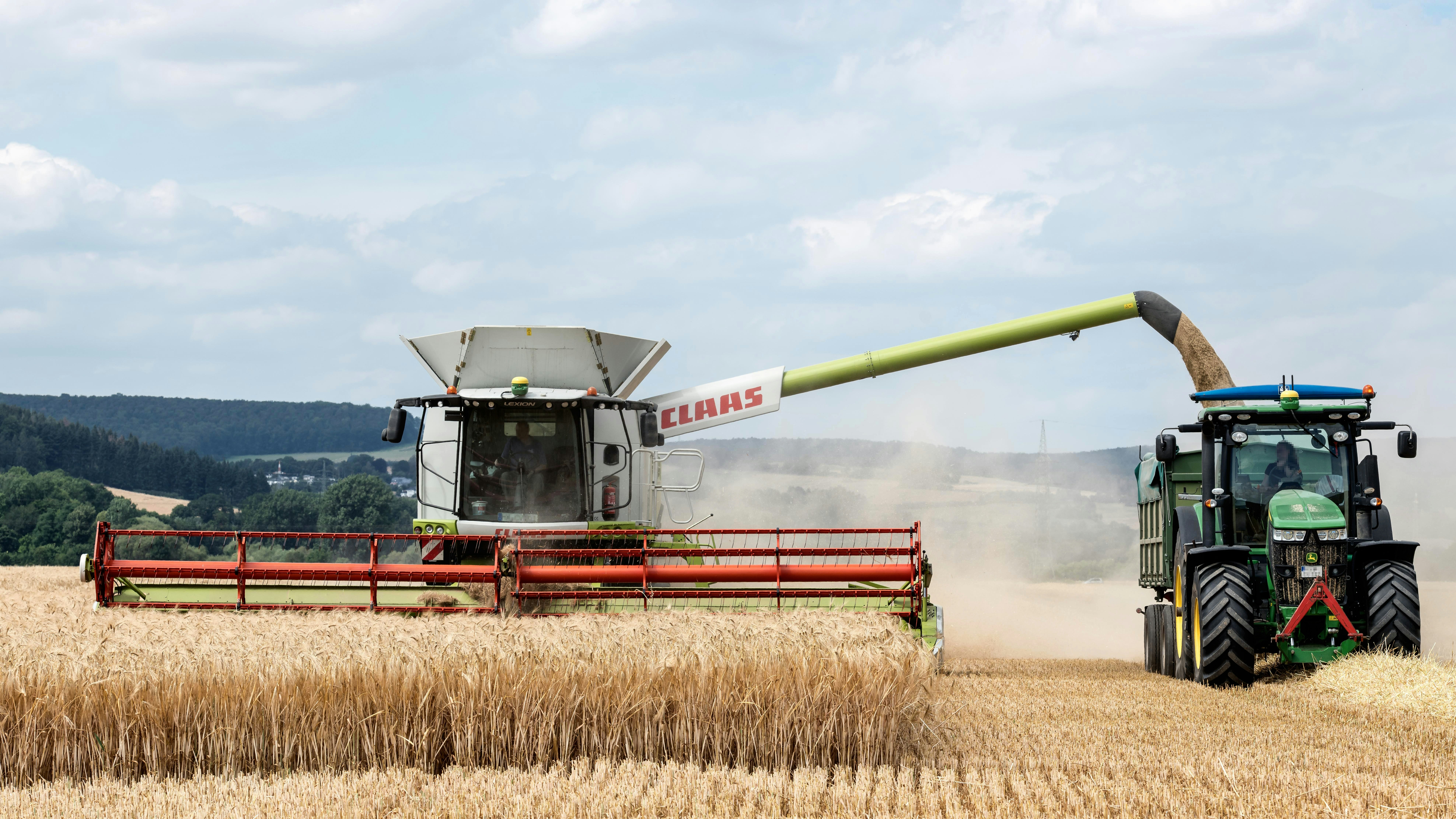 Photo by hamburgmeinefreundin