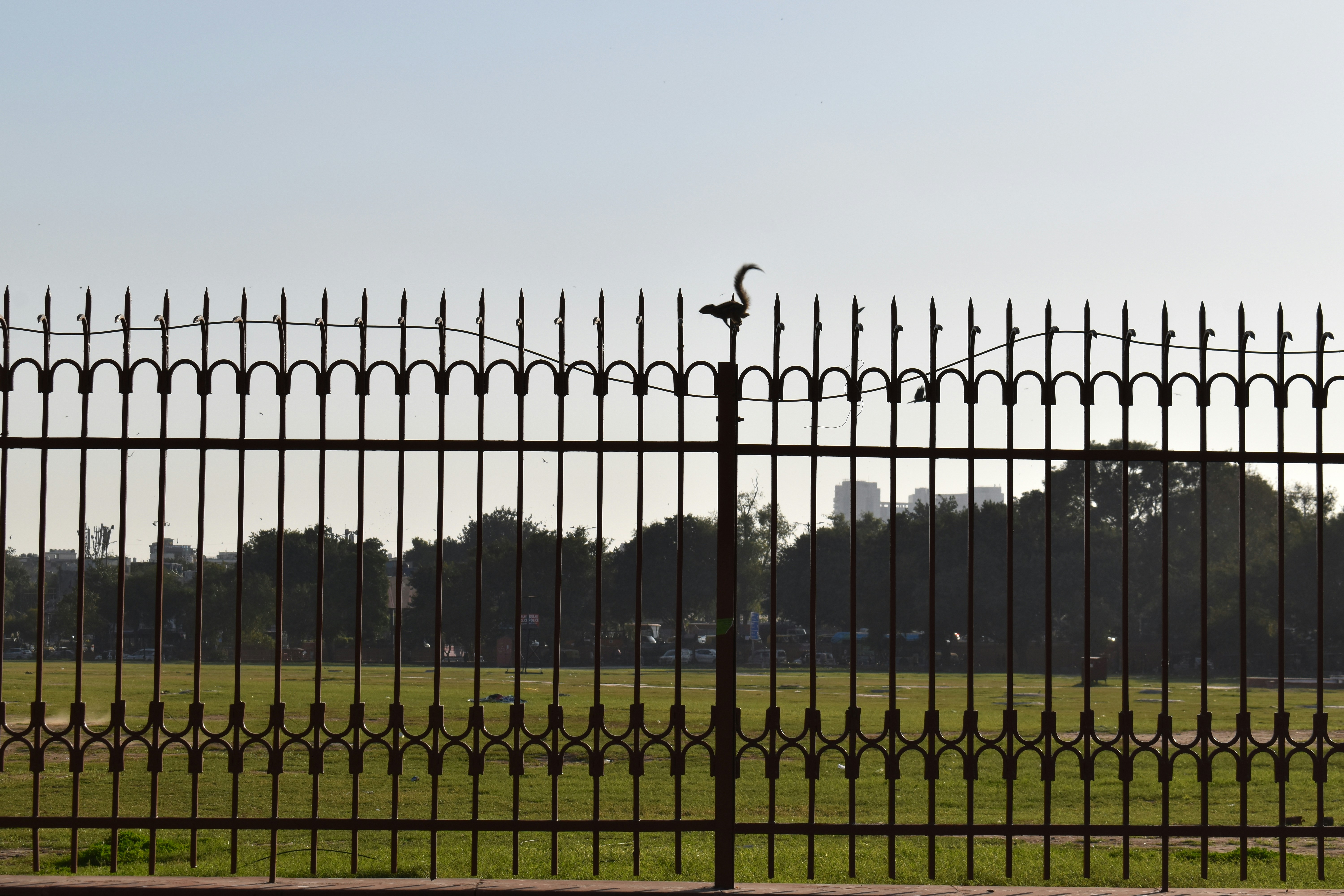 photo-1744898757781-c21190ee1332?ixid=M3wxMjA3fDB8MXxzZWFyY2h8MTR8fGZlbmNlJTIwY29tcGFuaWVzJTIwaG91c3RvbnxlbnwwfHx8fDE3NjI2MTc2NDl8MA\u0026ixlib=rb-4.1.0