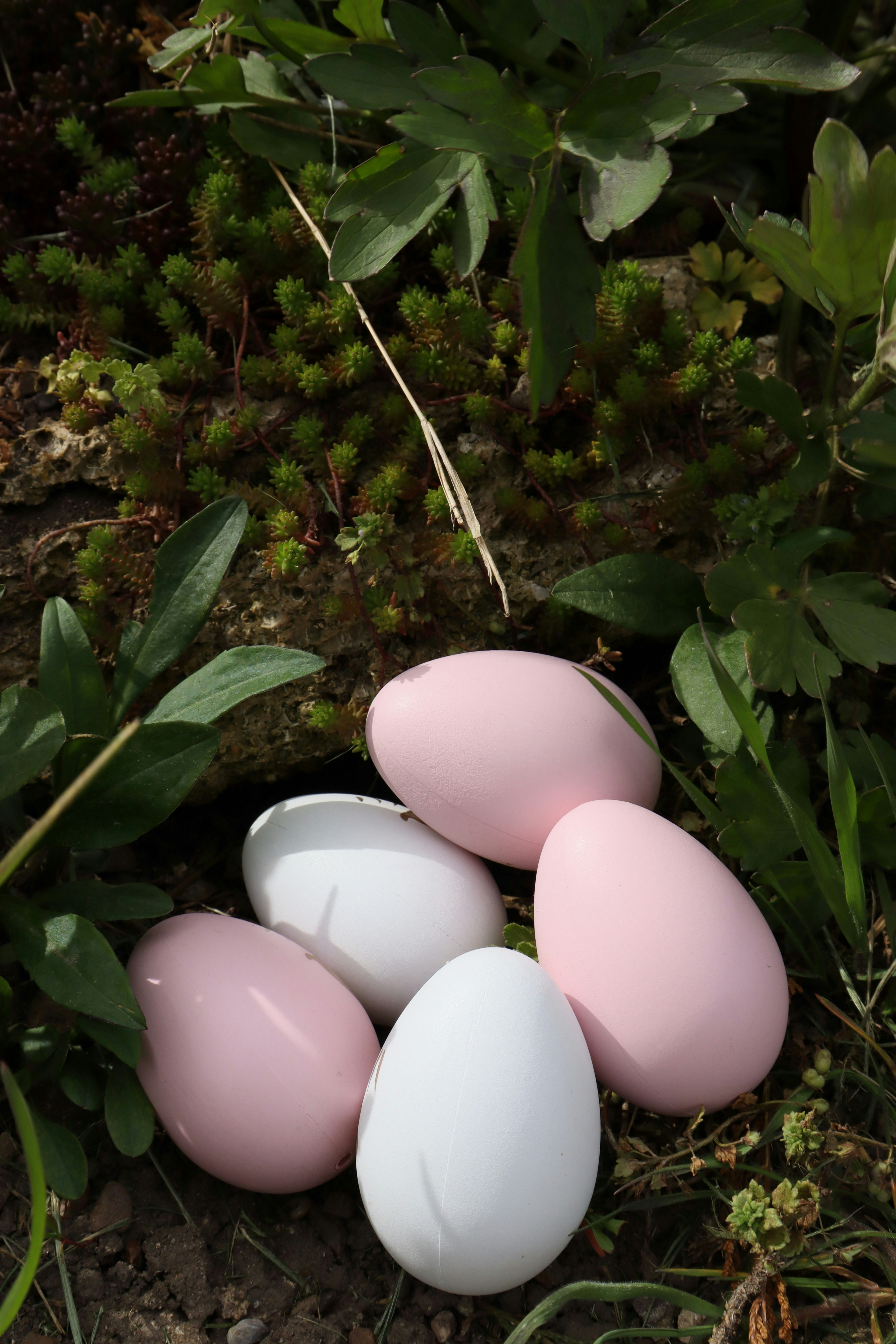 Painted easter eggs nestled amongst foliage.