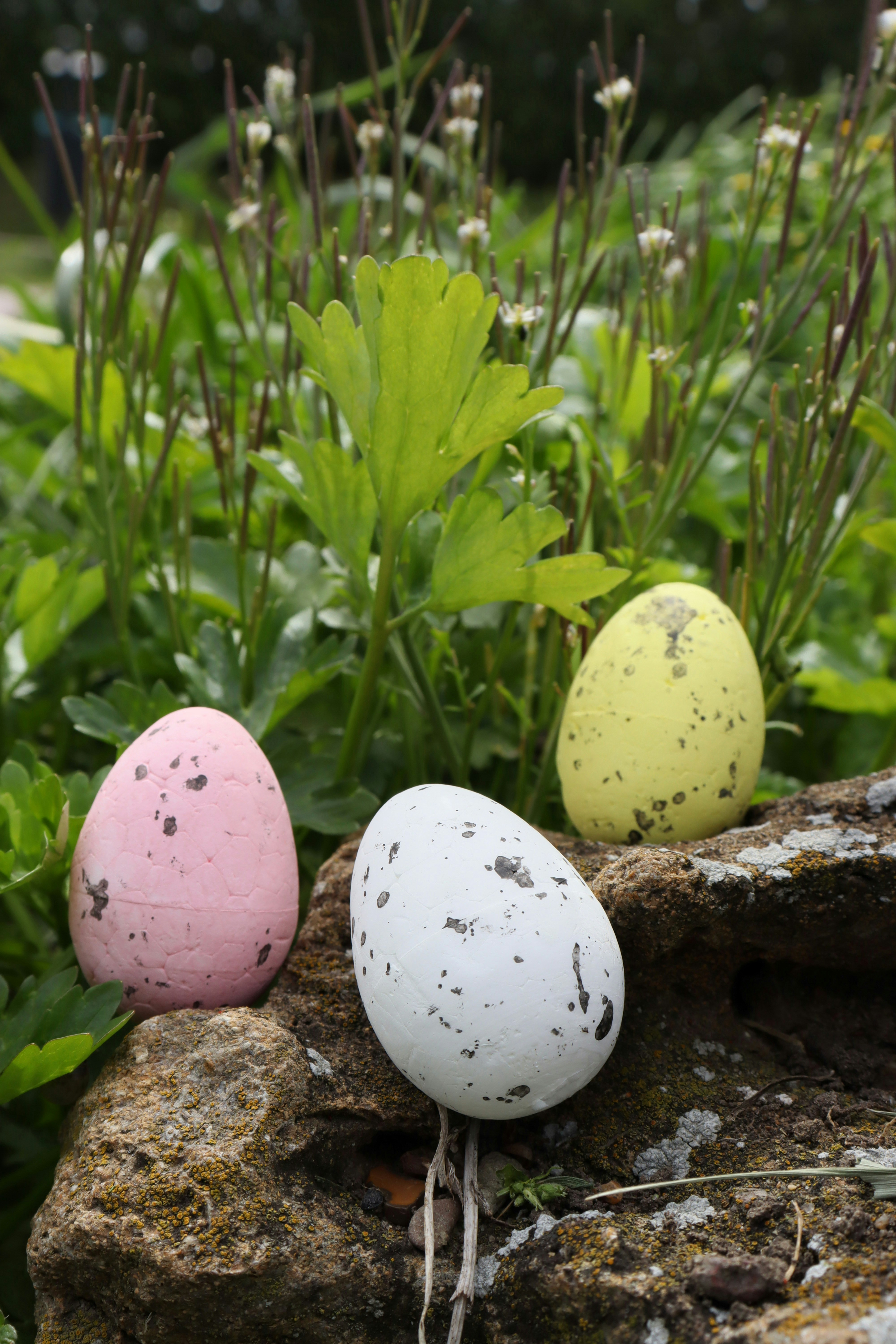 Los huevos de Pascua se sientan en las rocas entre la vegetación.