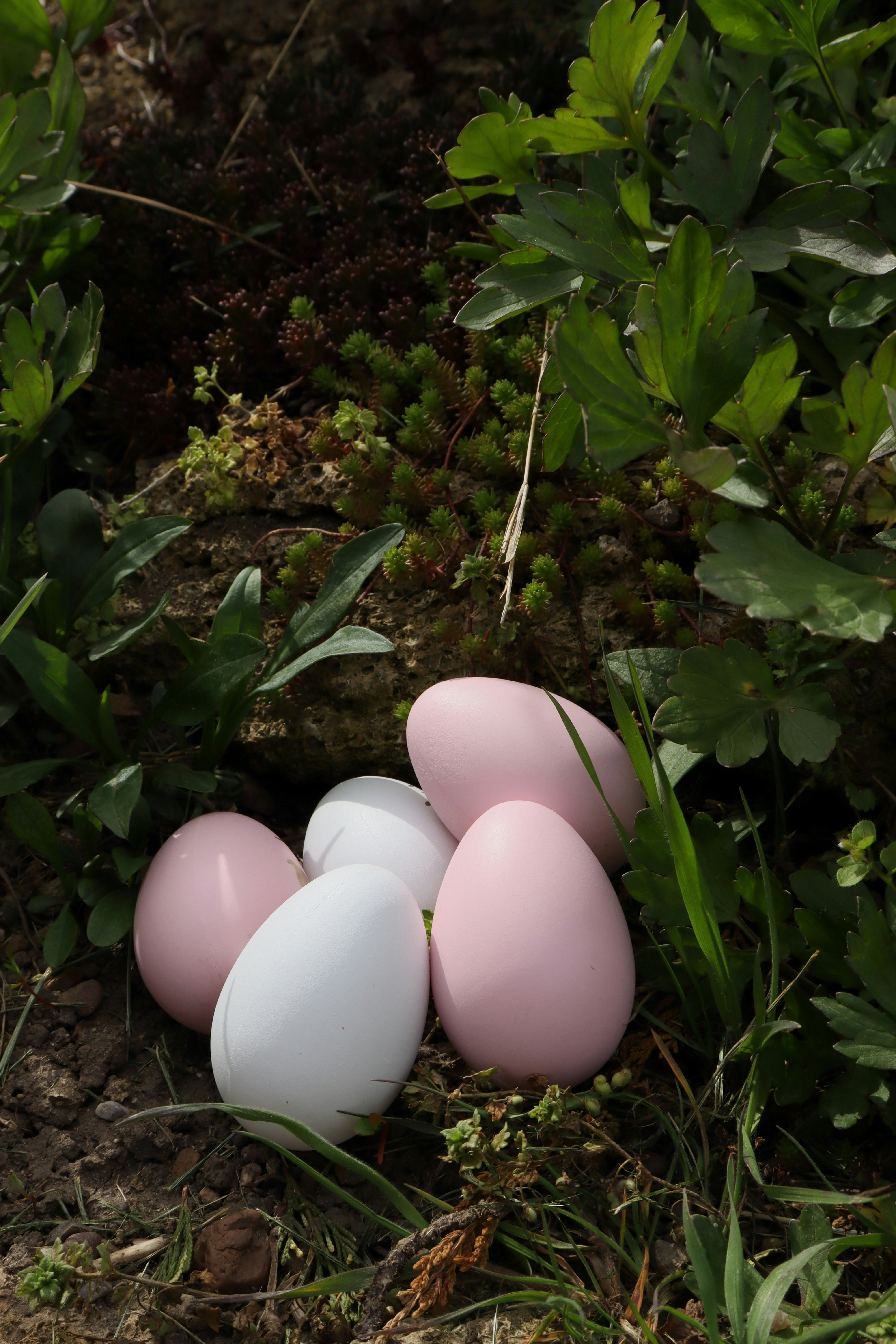 Easter eggs nestled in a garden setting.
