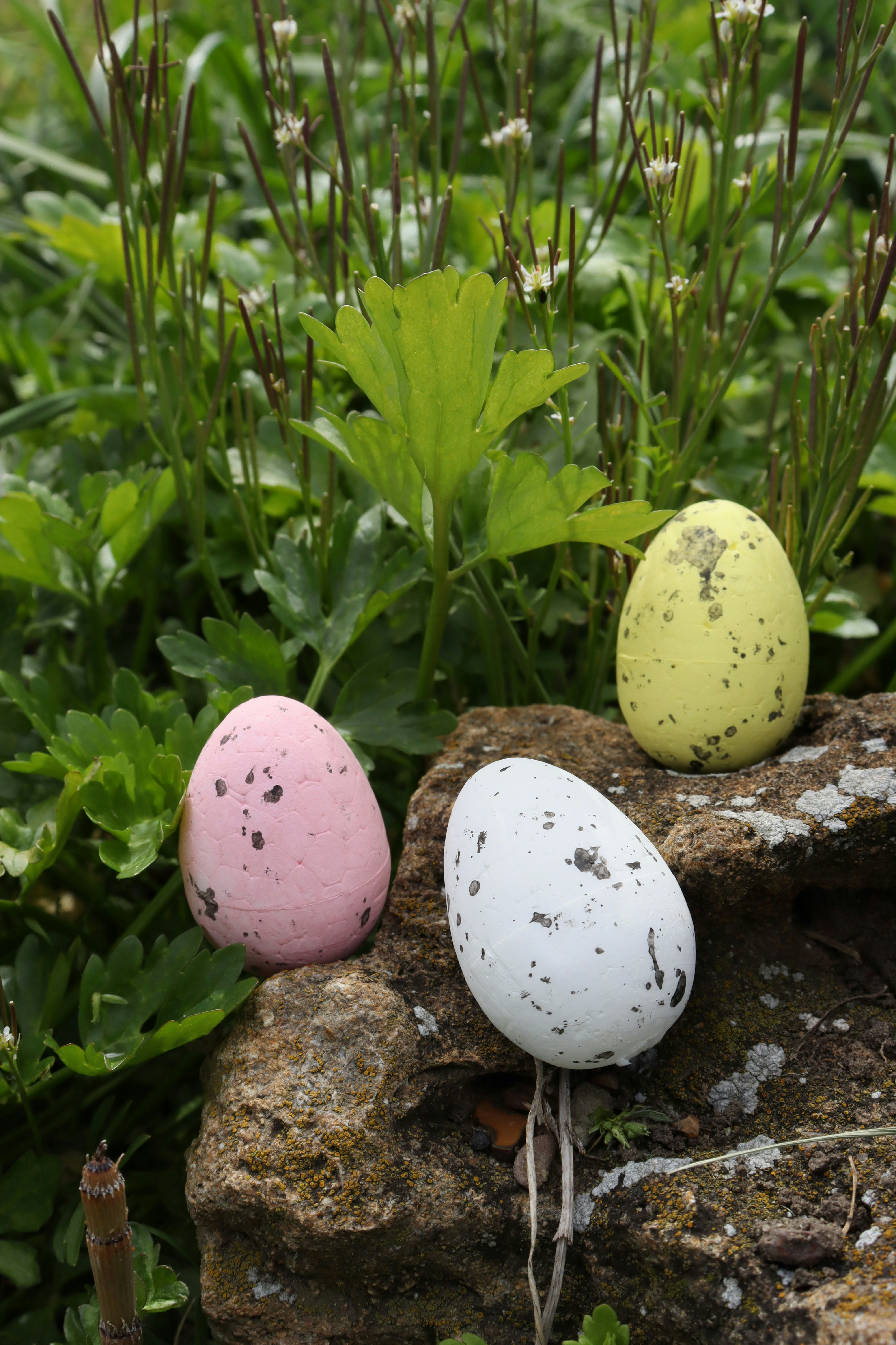 Tres huevos de pascua pintados de colores se sientan afuera.