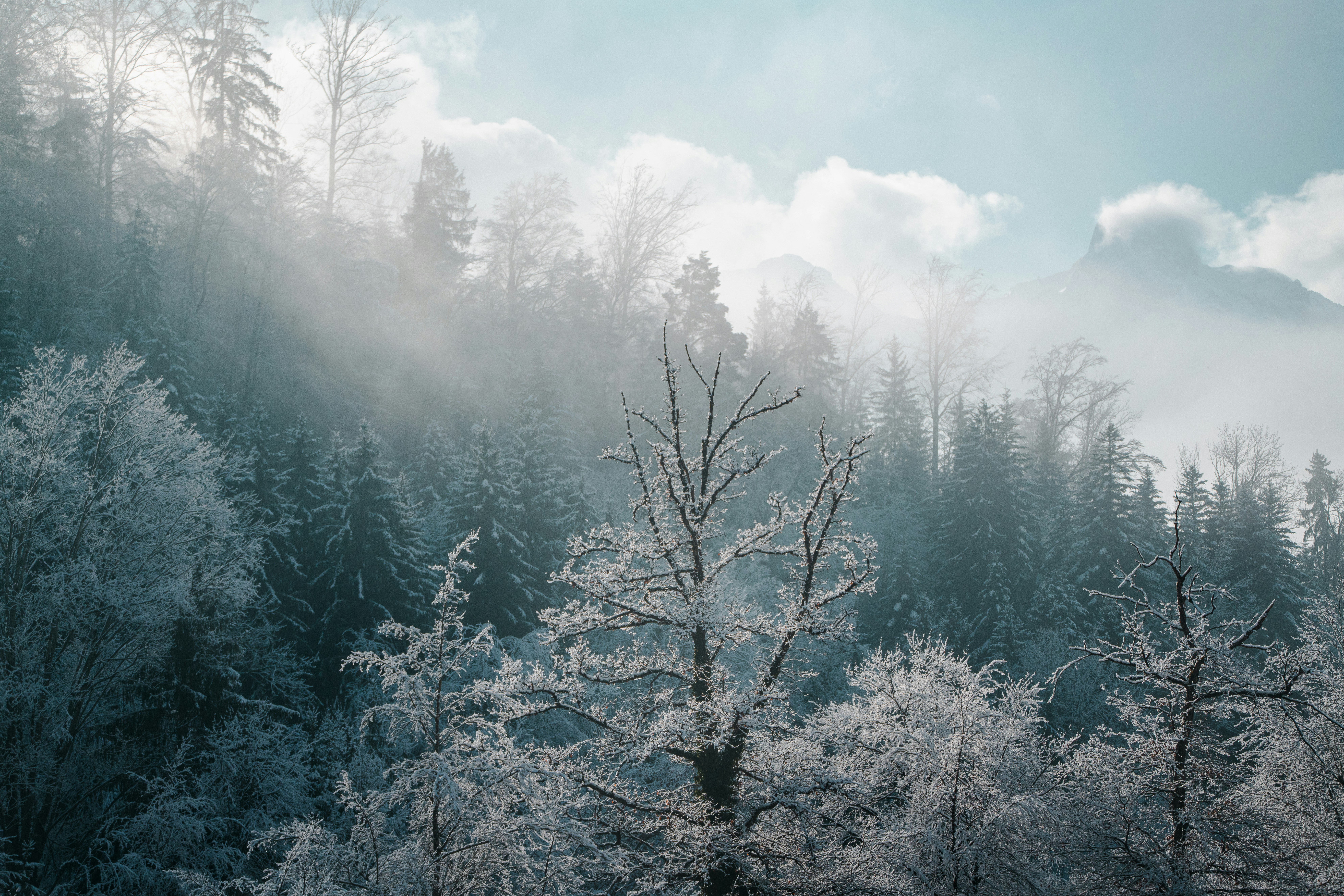 Photo by anthonygomez