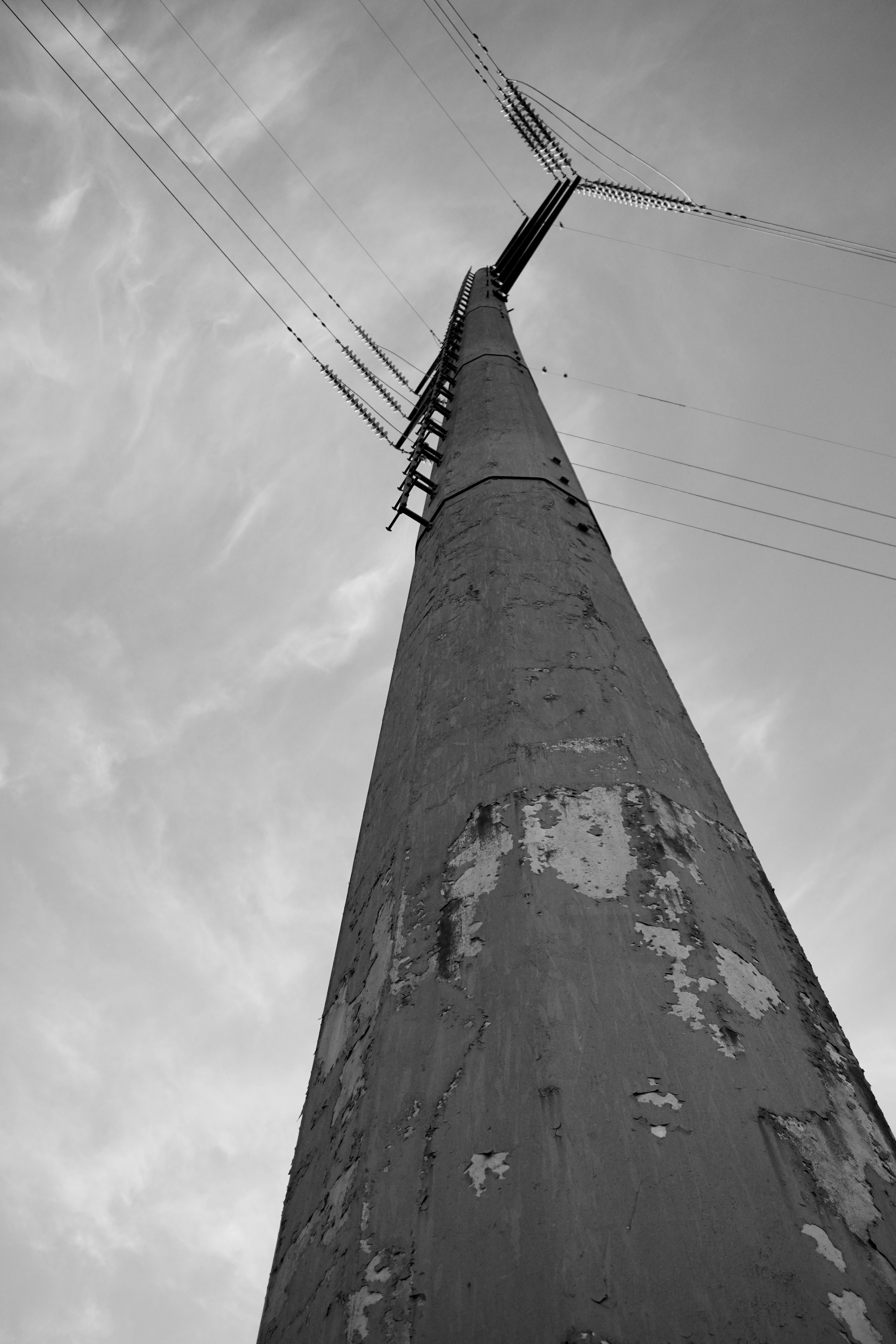 Photo by barnabaspiper