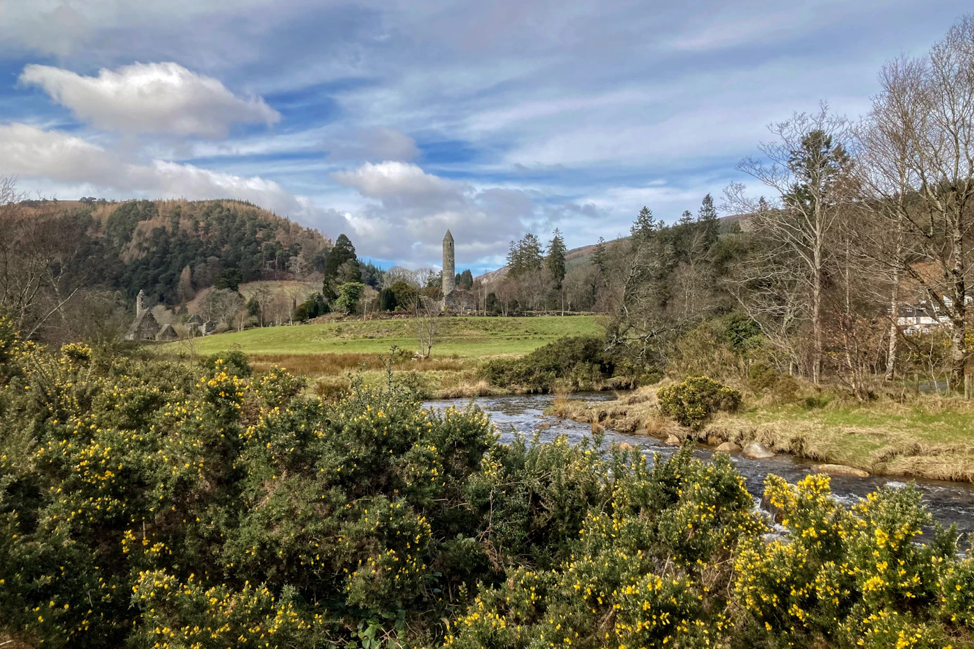 The round tower of Glendalough in the Wicklow Mountains with yellow gorse and a stream in the foreground