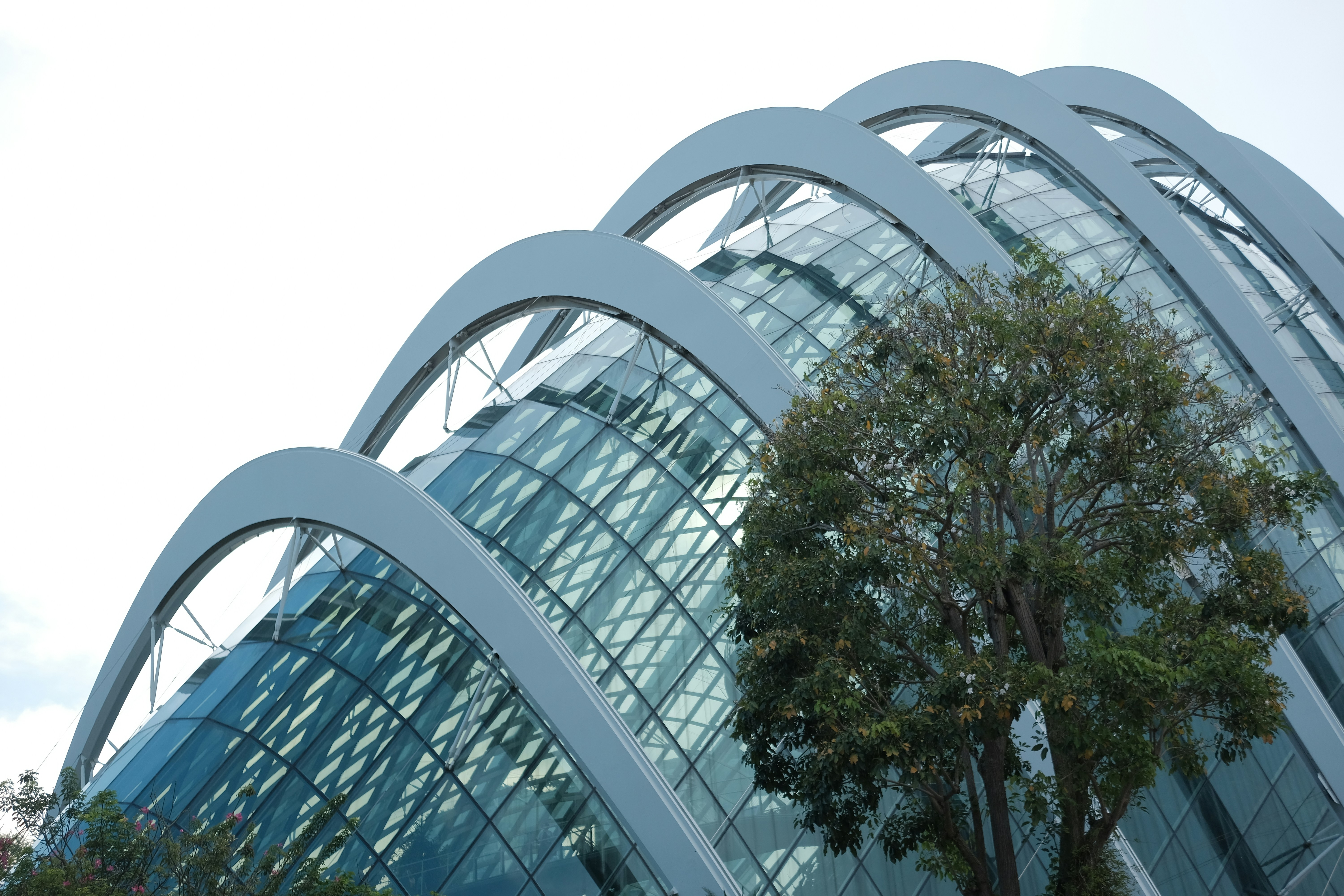 Modern architecture with glass and arches.