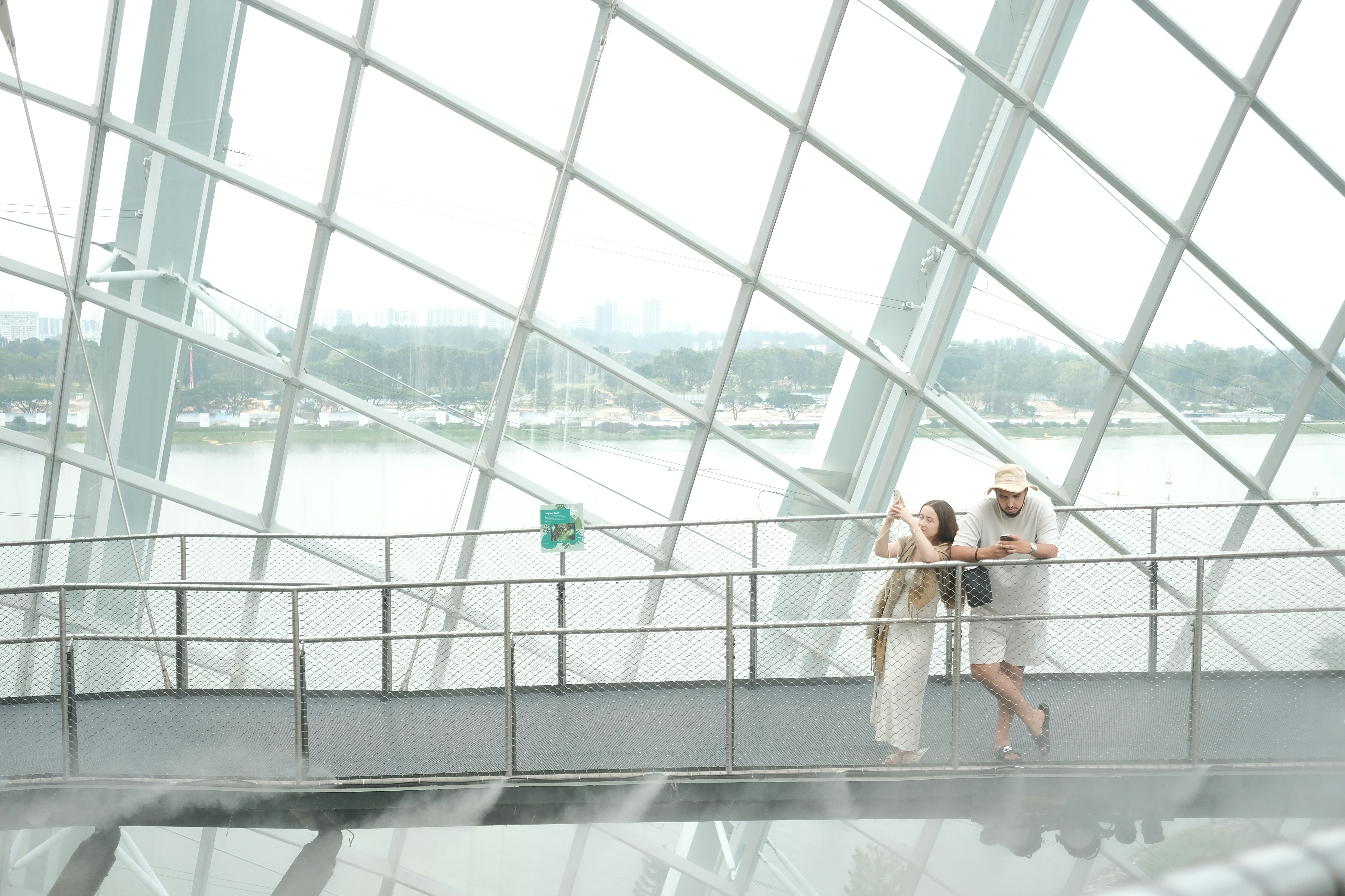 People stand and look out over a scenic view.