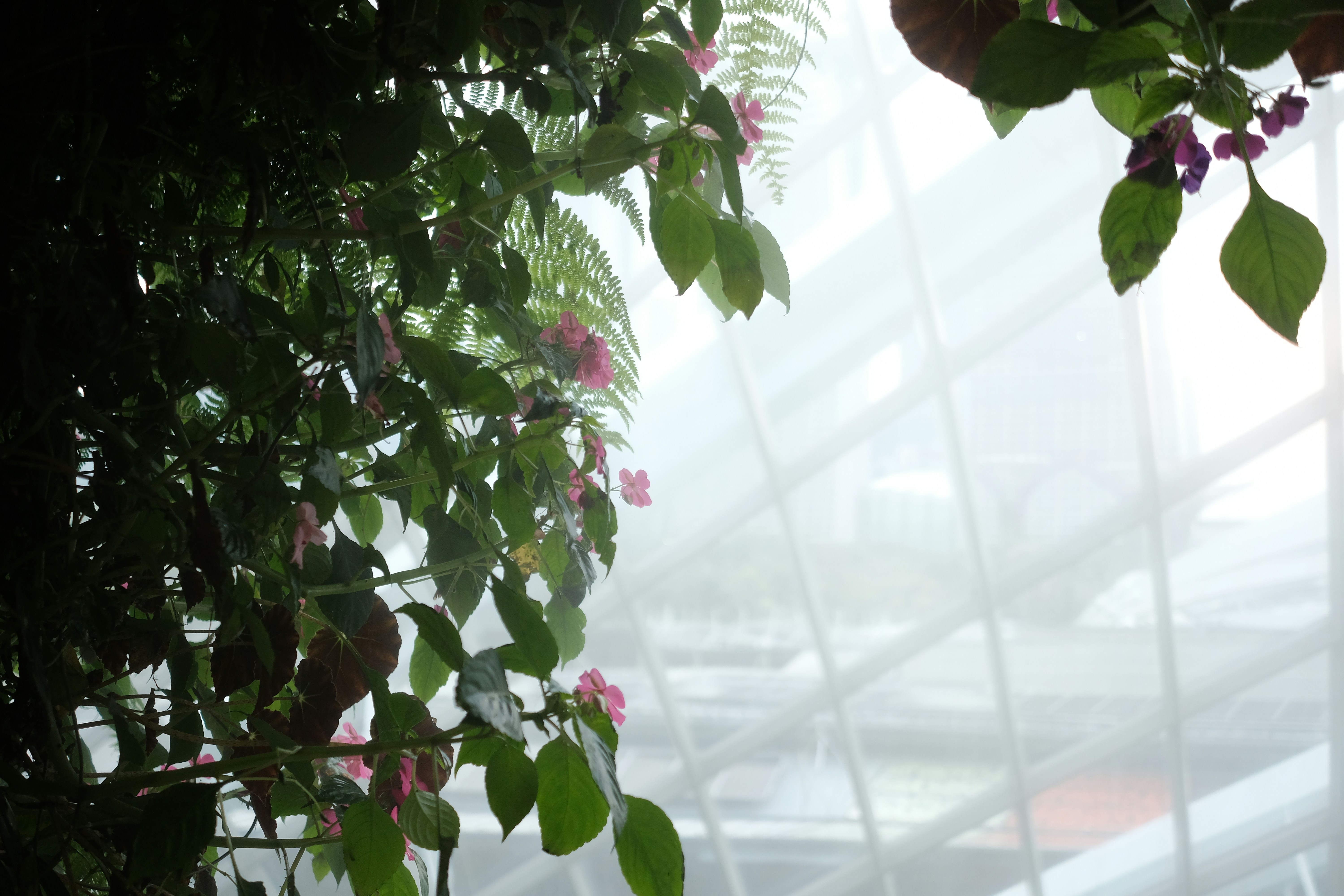 Photo by kiisstherain