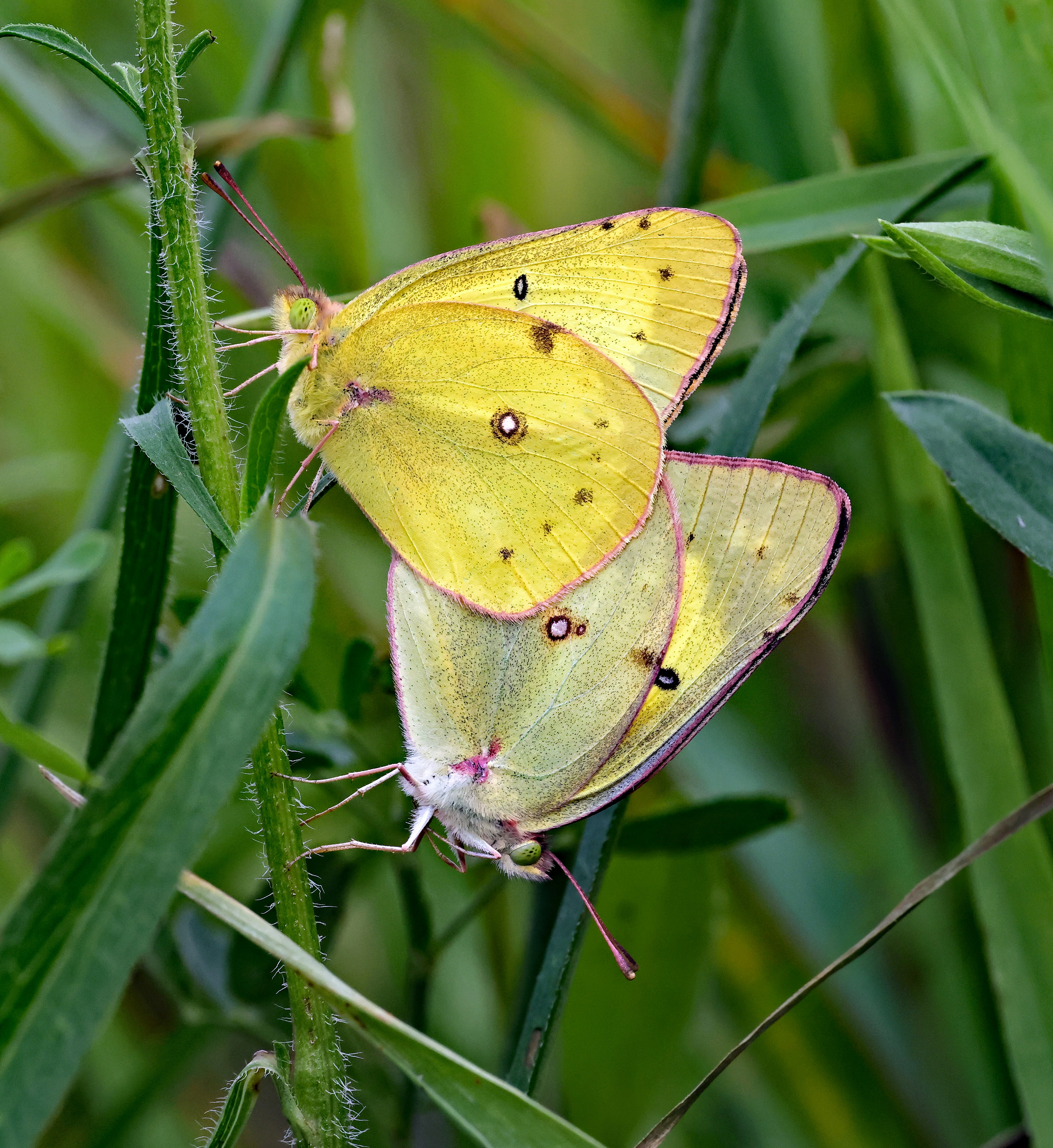 Photo by telliottmbamsc