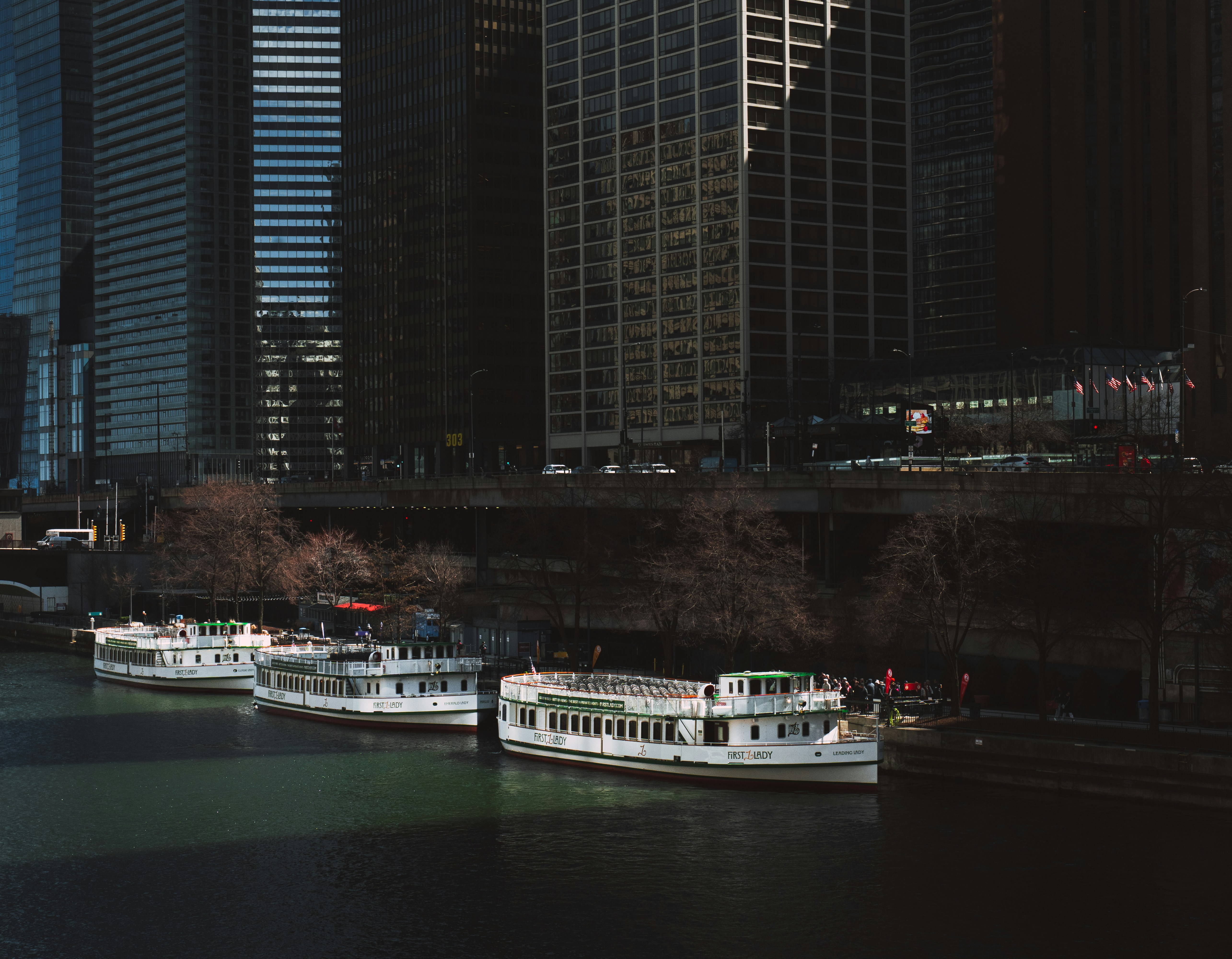 Skyline from an architectural boat tour on the Chicago River - Chicago skyline views