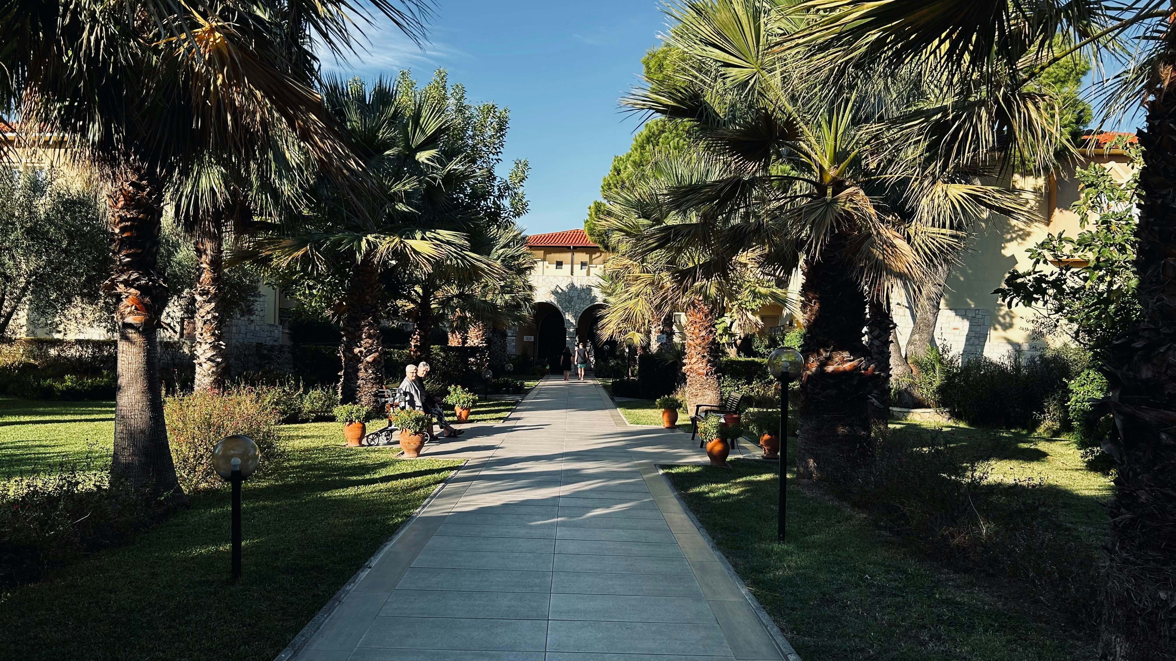 A walkway leads toward a building lined with trees.