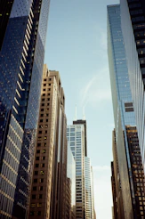Skyscrapers reach for the sky in a city.