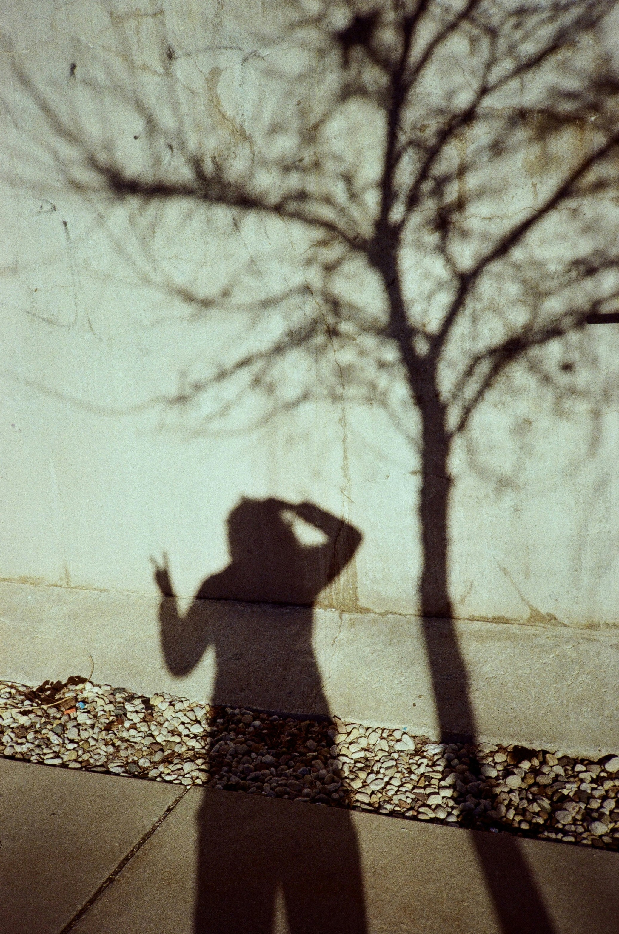 trouble de la personnalité