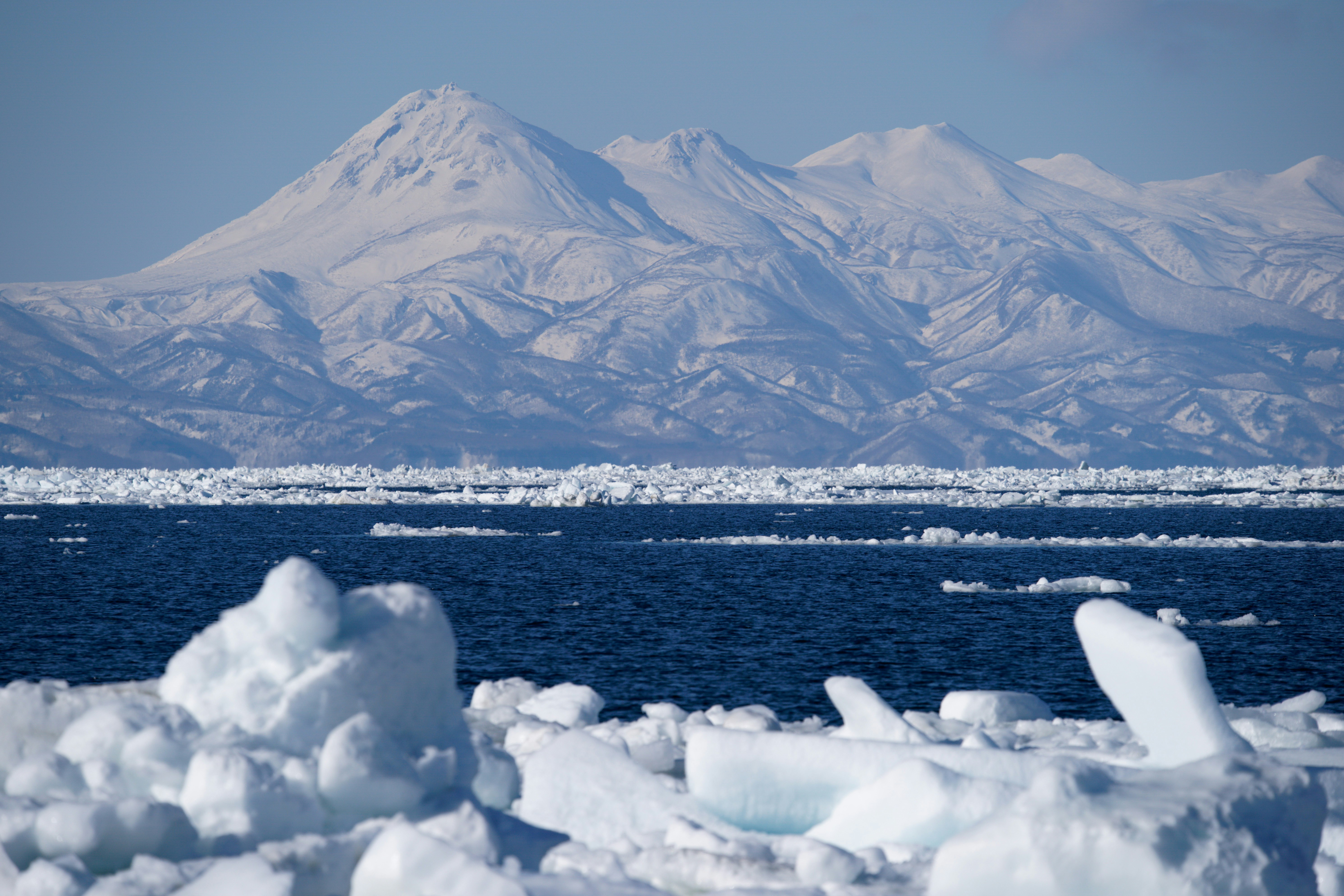 Photo by da_shika_photo