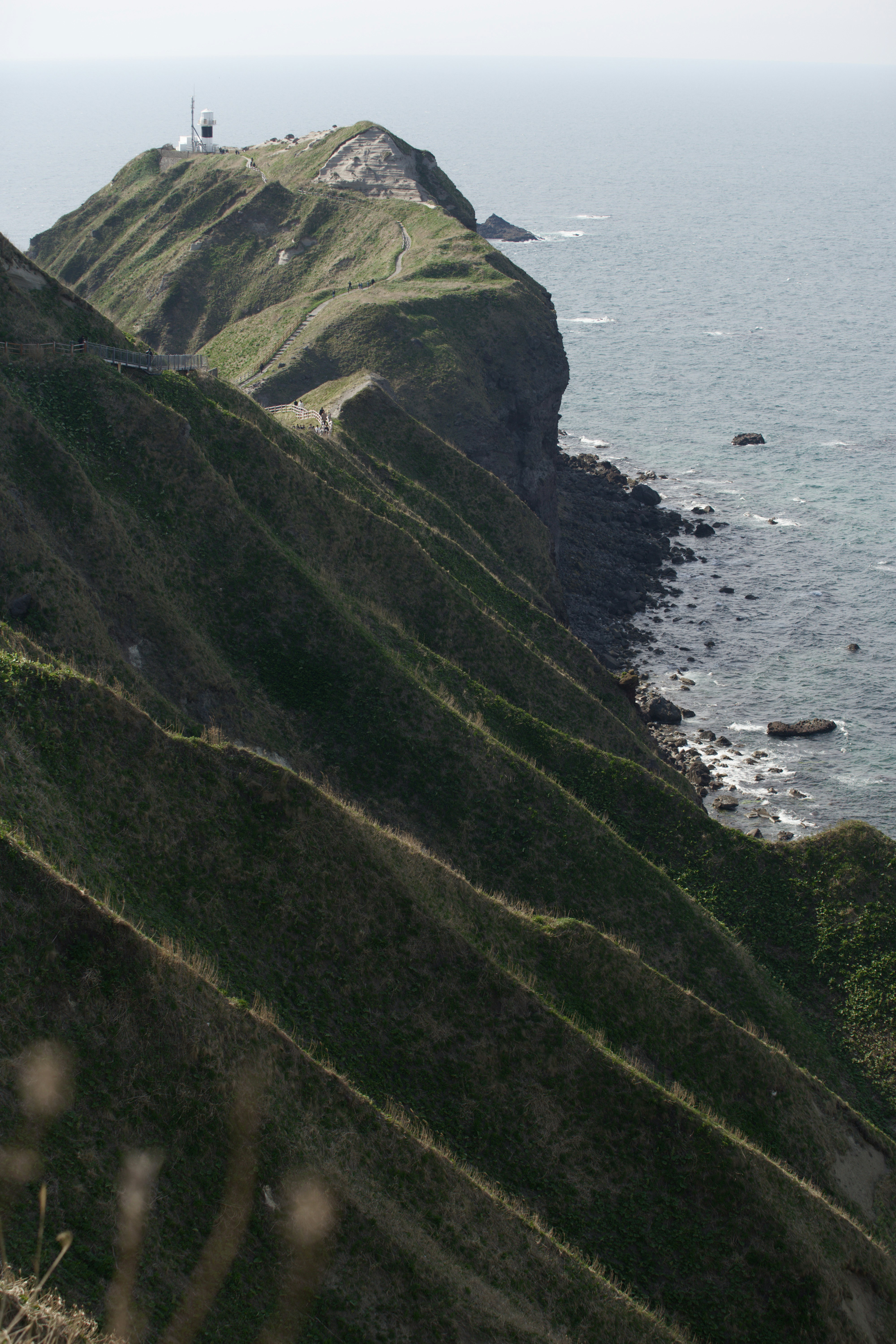 Photo by da_shika_photo