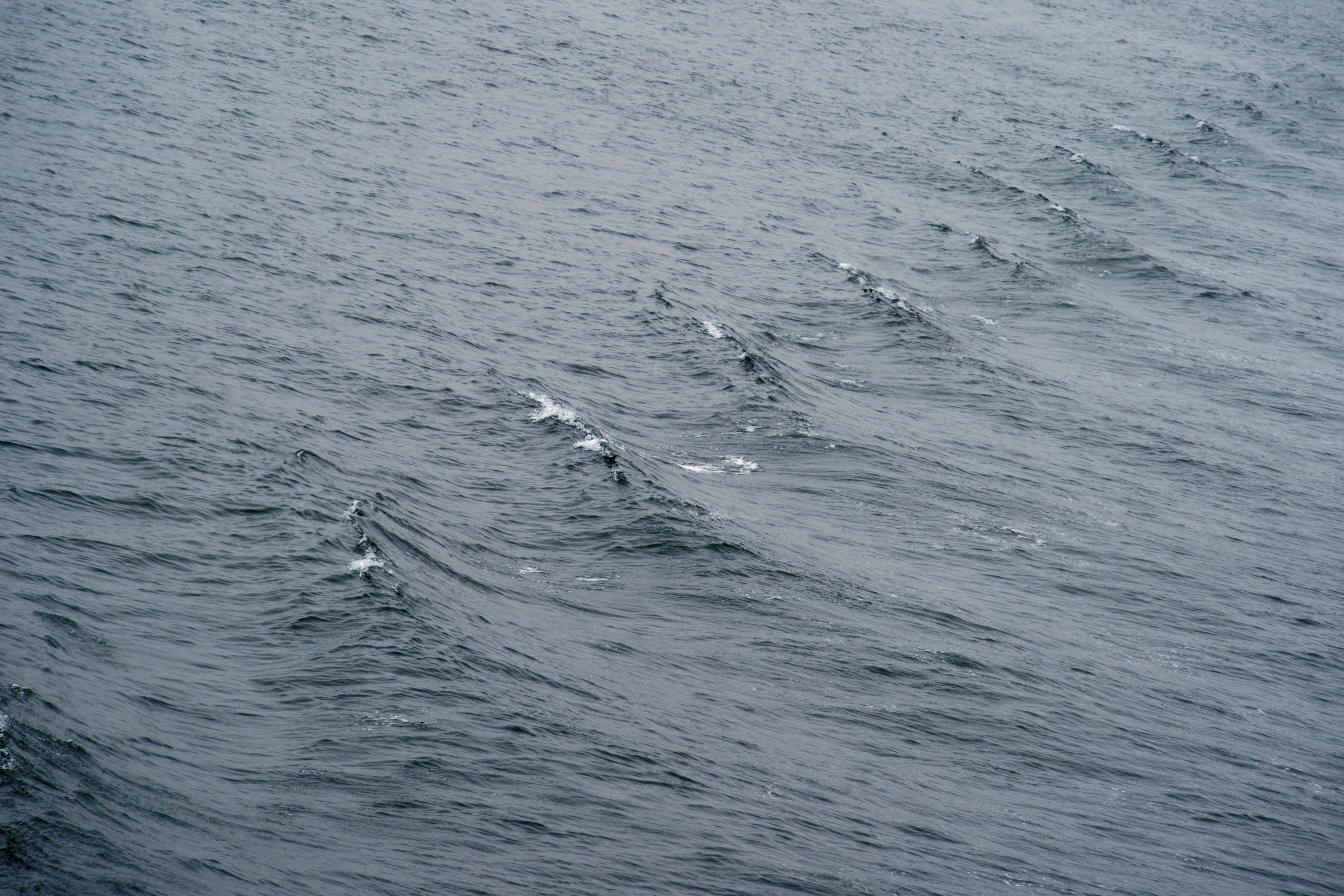 Photo by da_shika_photo