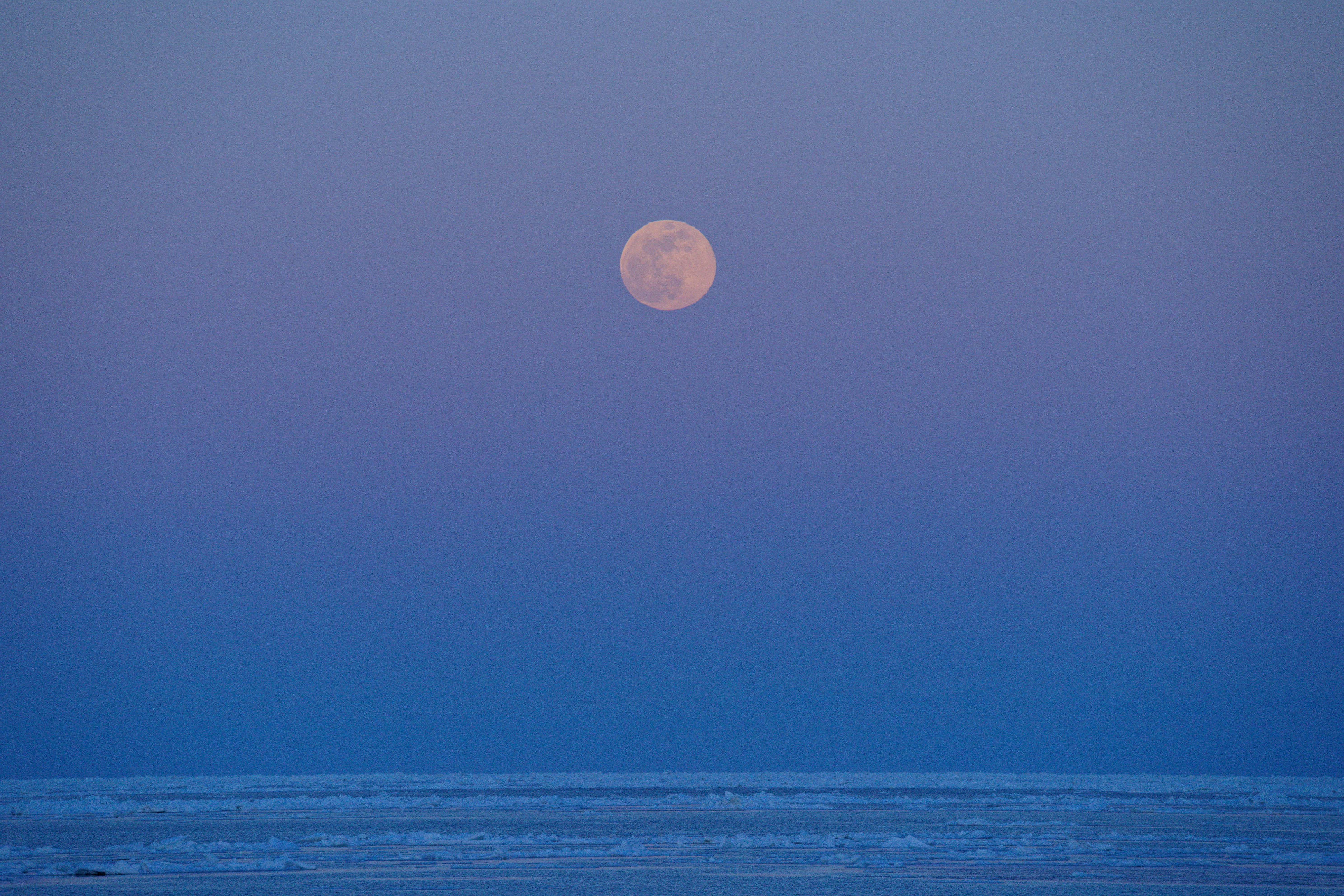 Photo by da_shika_photo