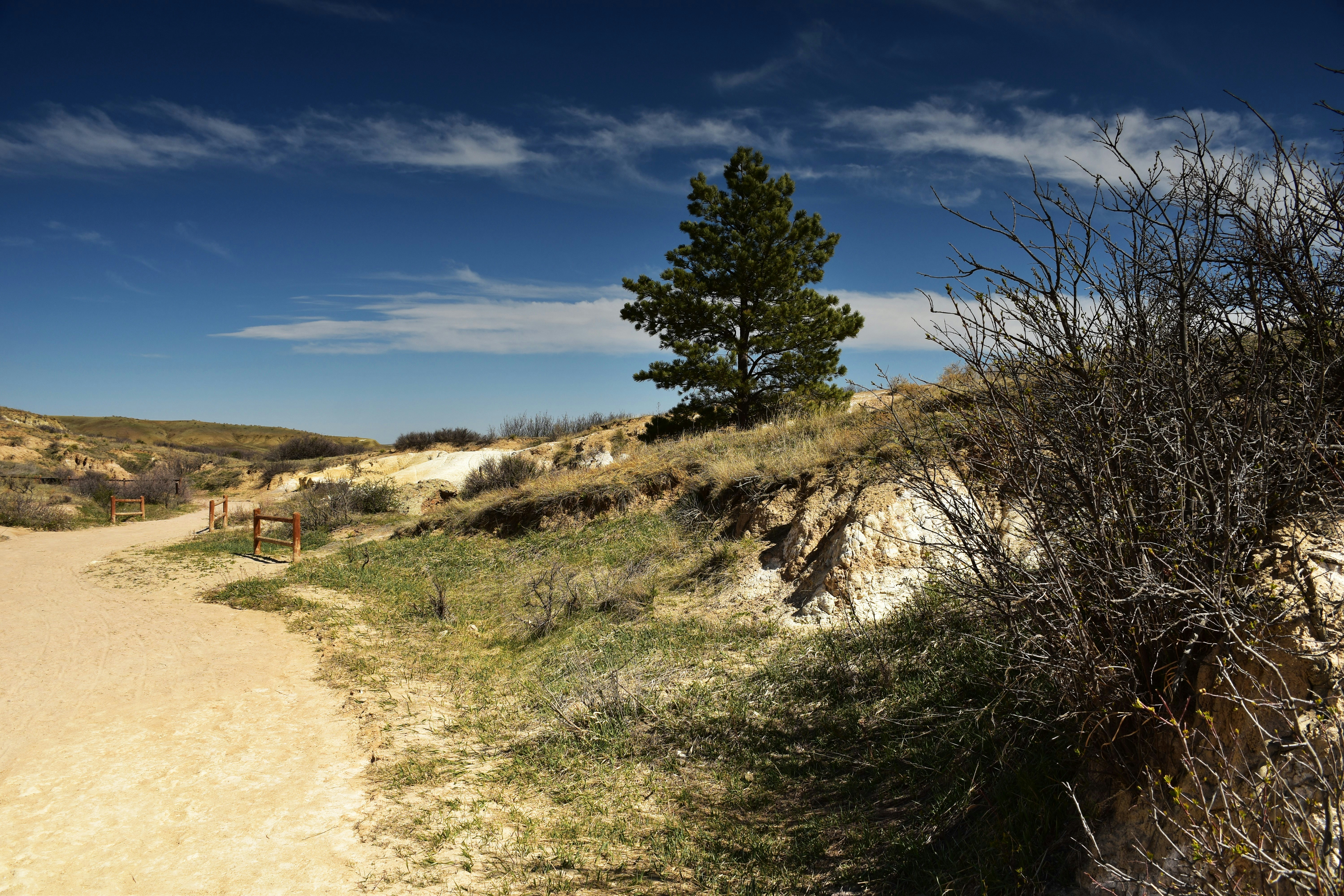 A dirt path leads through a nature landscape.