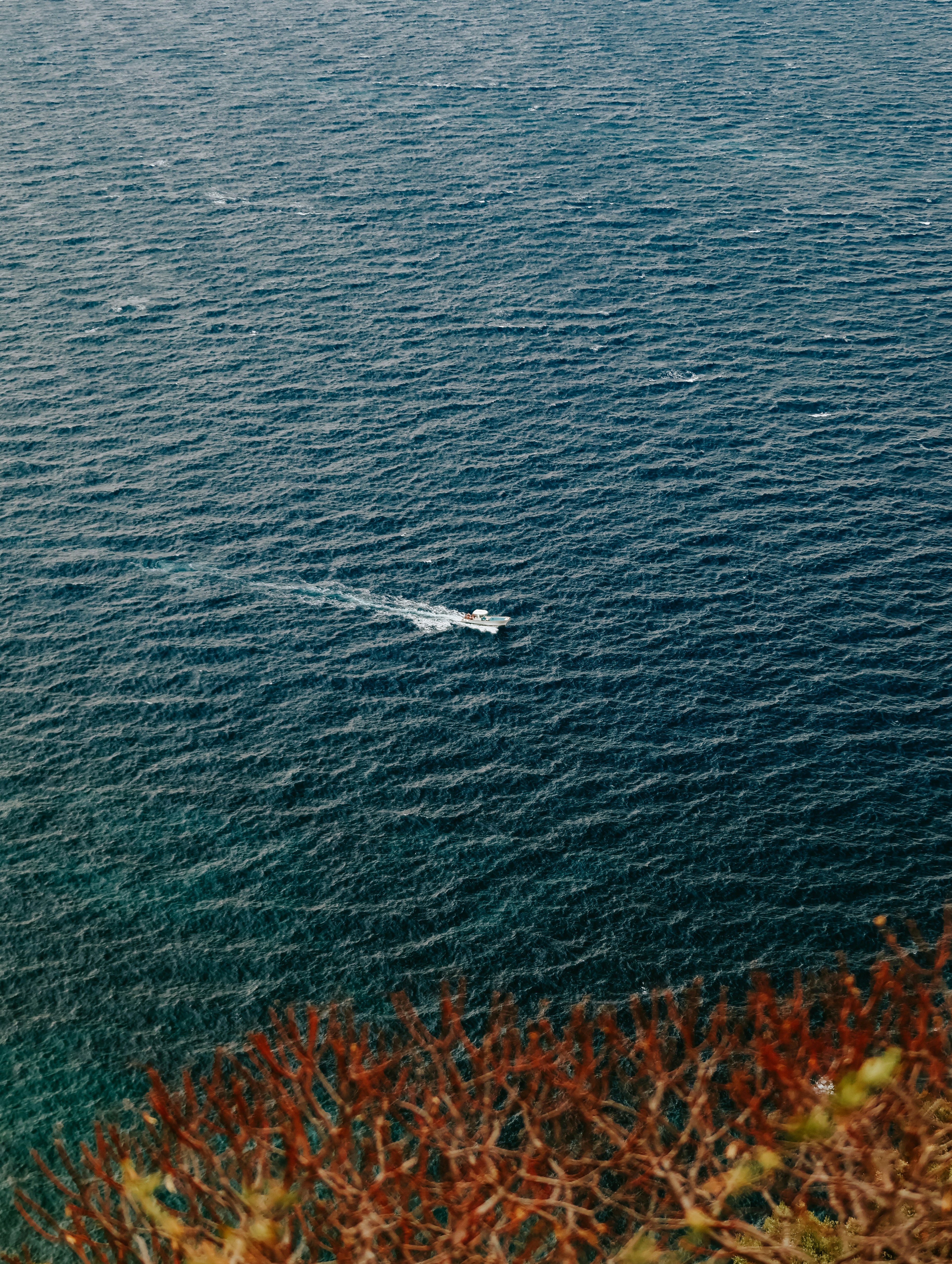 Photo by isaque_barusco