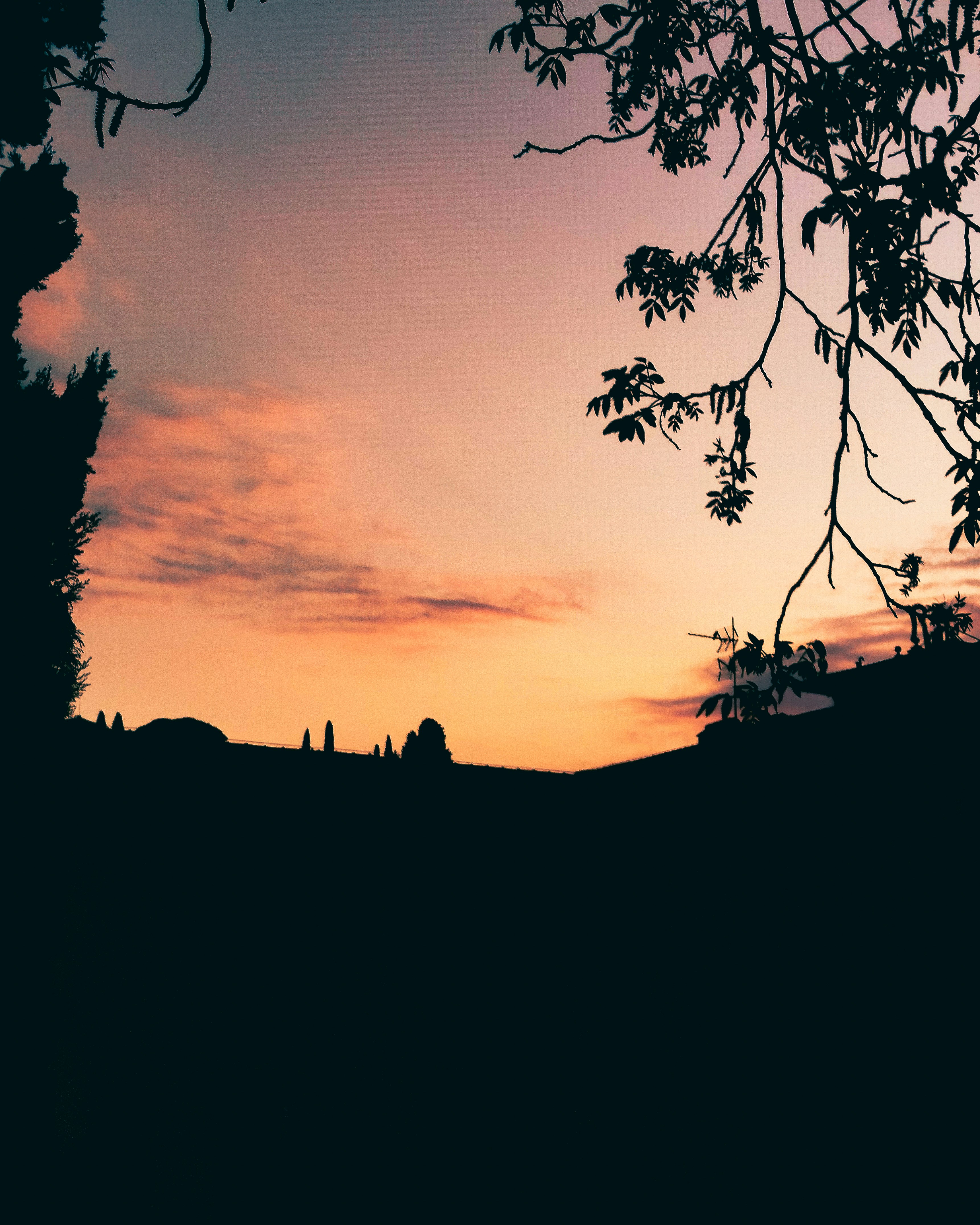 Photo by marinolp
