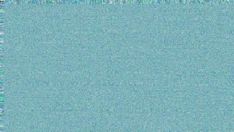 Blue and green static fills the screen.