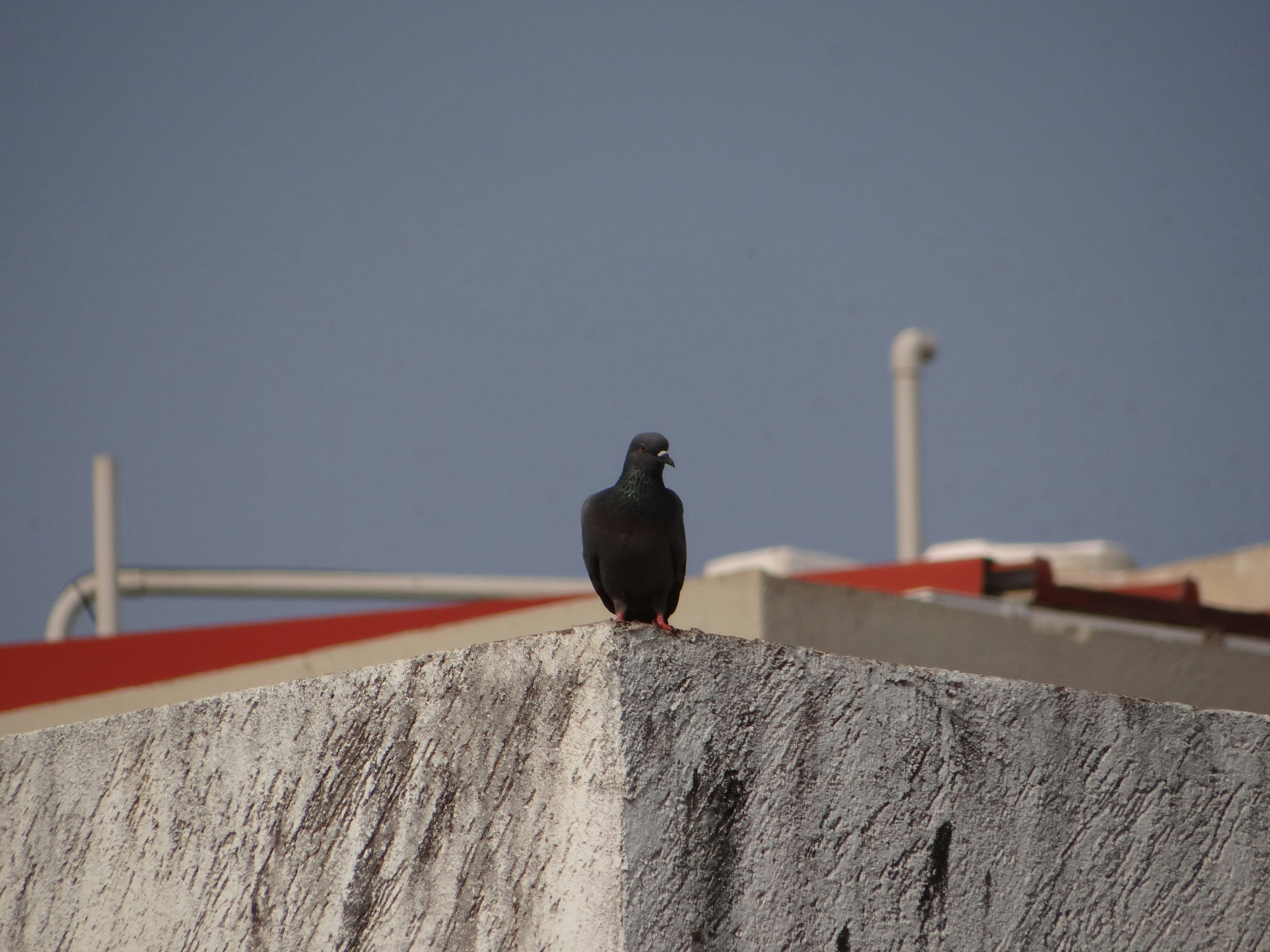 Photo by jishaan_azmi