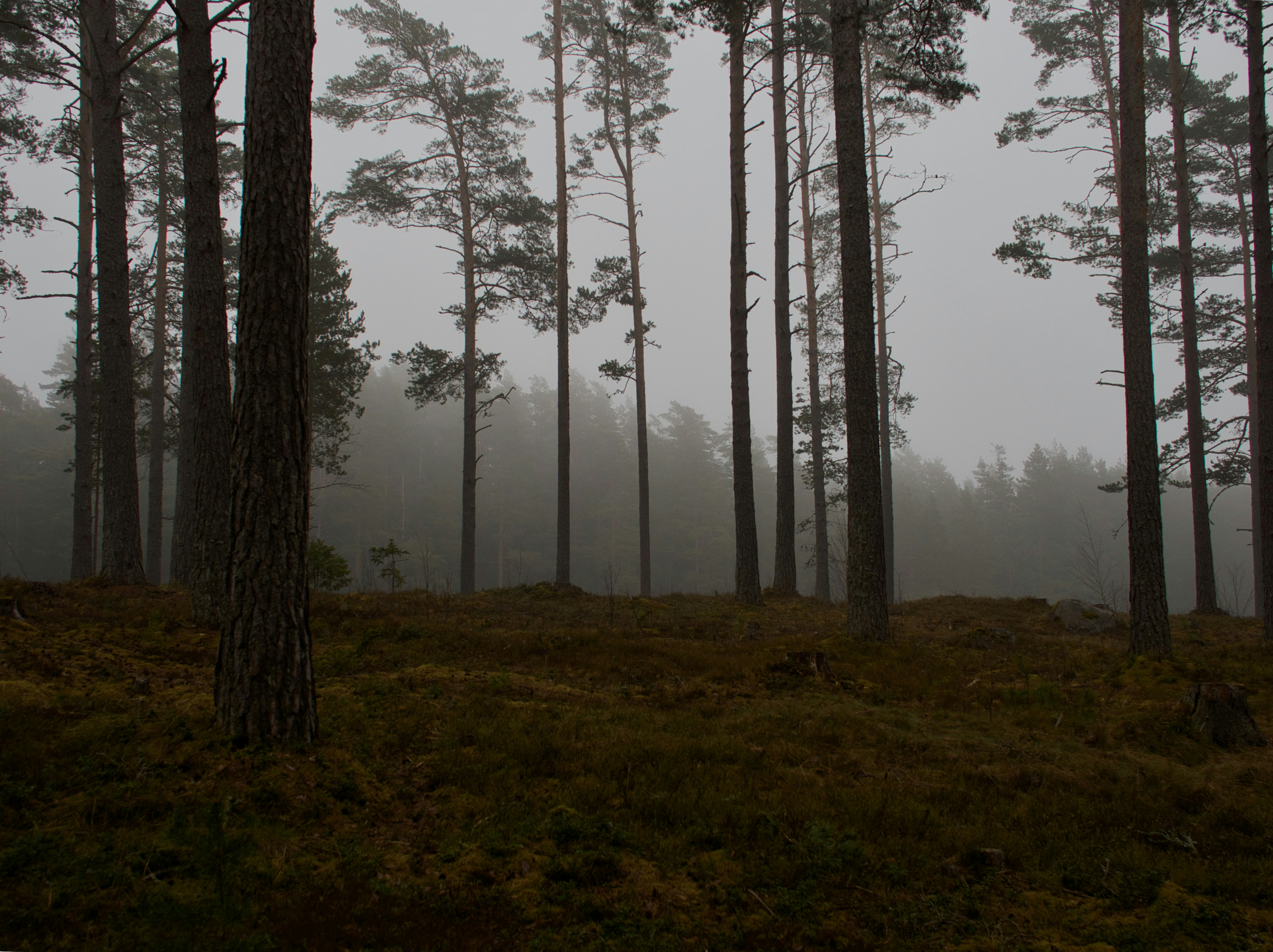 Photo by schneiderhenry