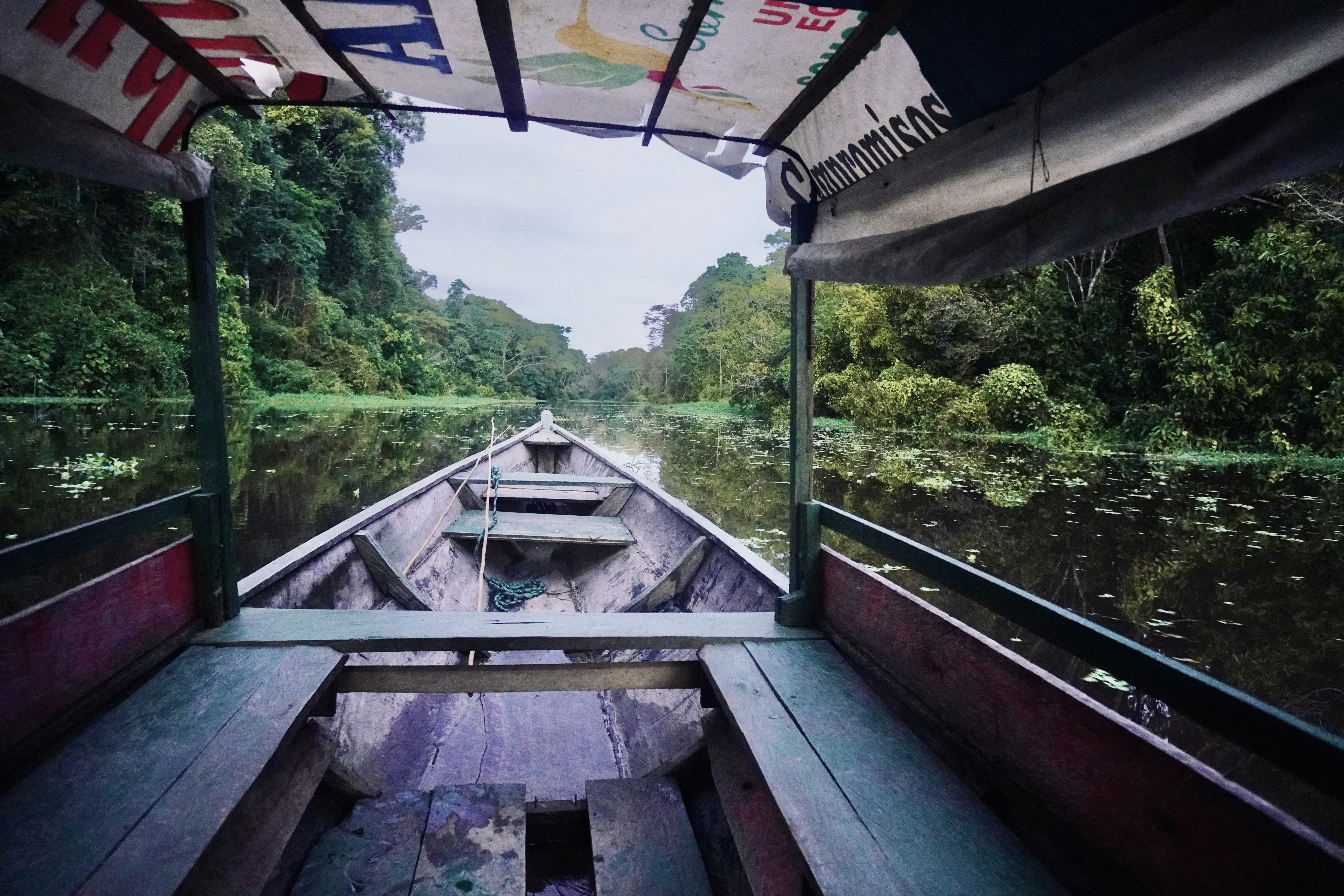 Boating through a lush, green amazon river.