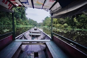 Boating through a lush, green amazon river.