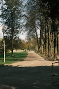 A long, tree-lined pathway stretches into the distance.