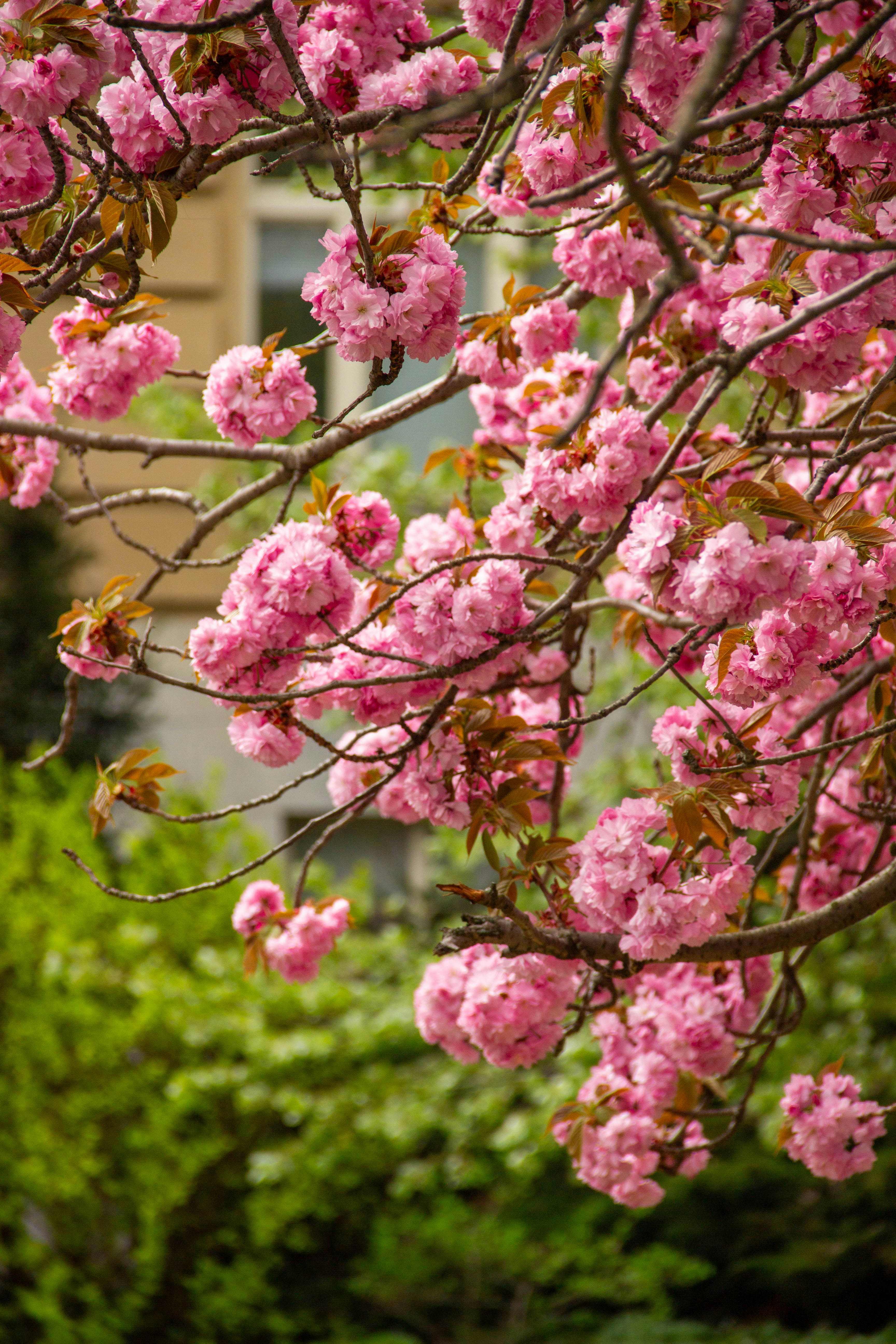 Photo by daniyarorazov