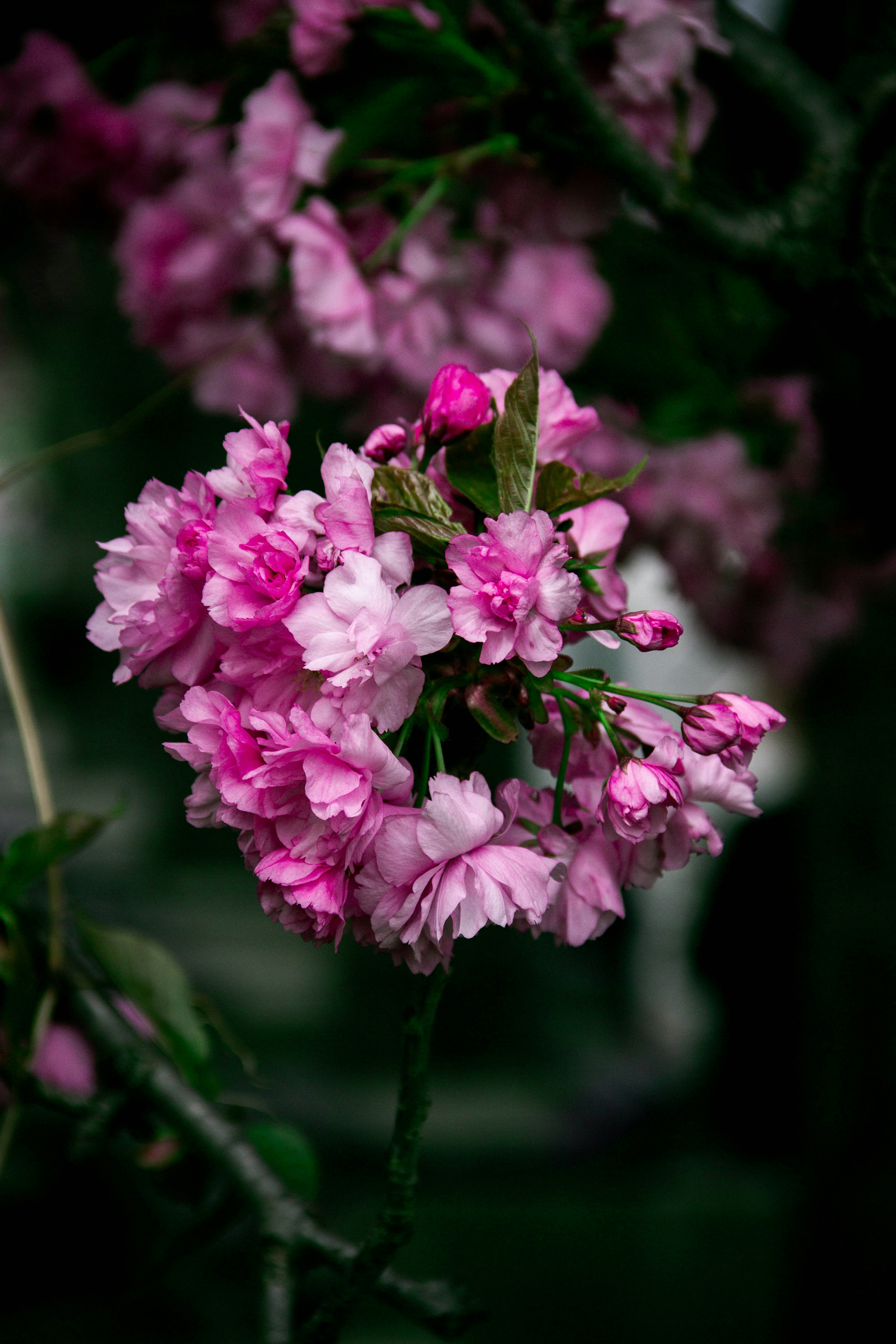 Photo by daniyarorazov