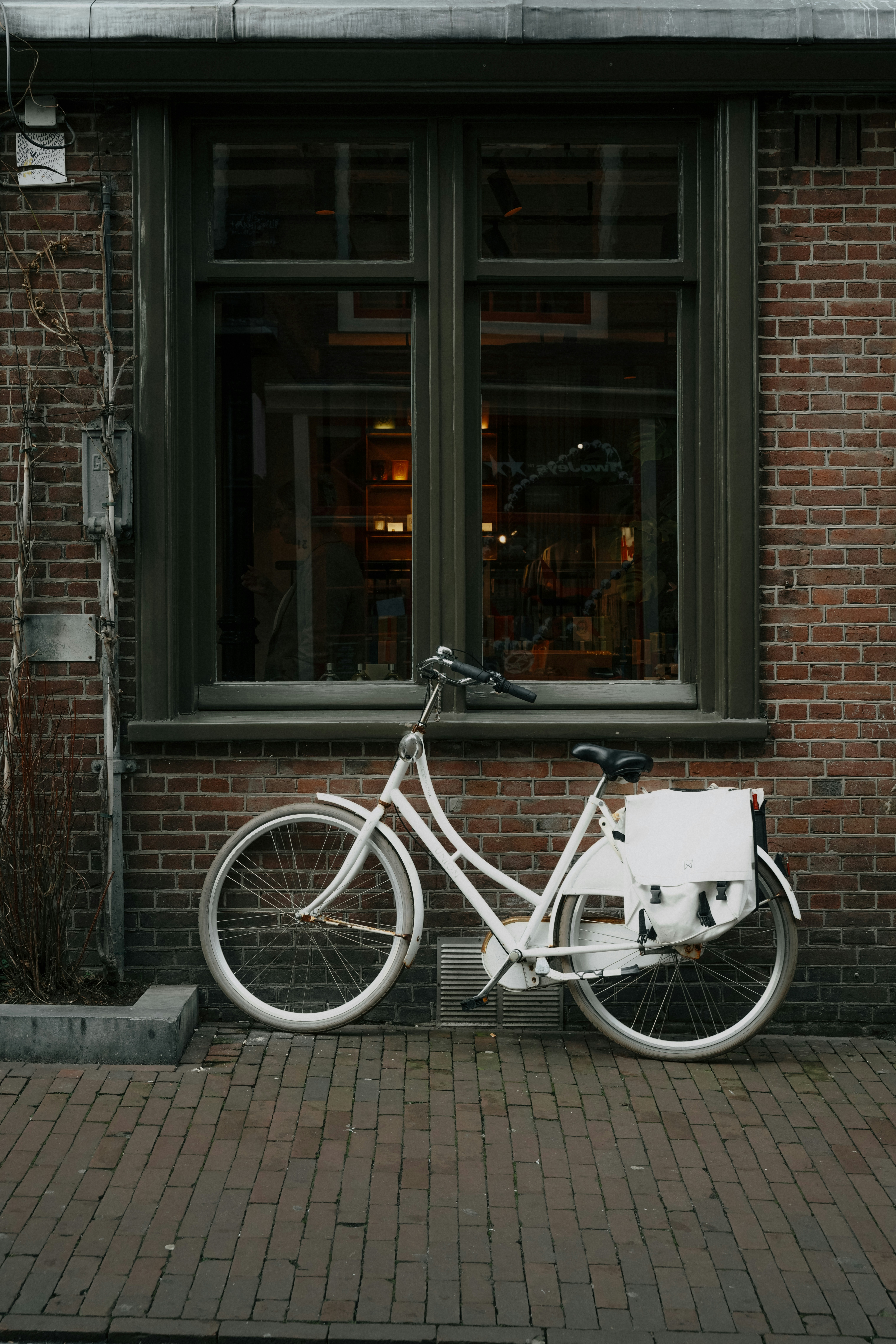 Photo by matreding