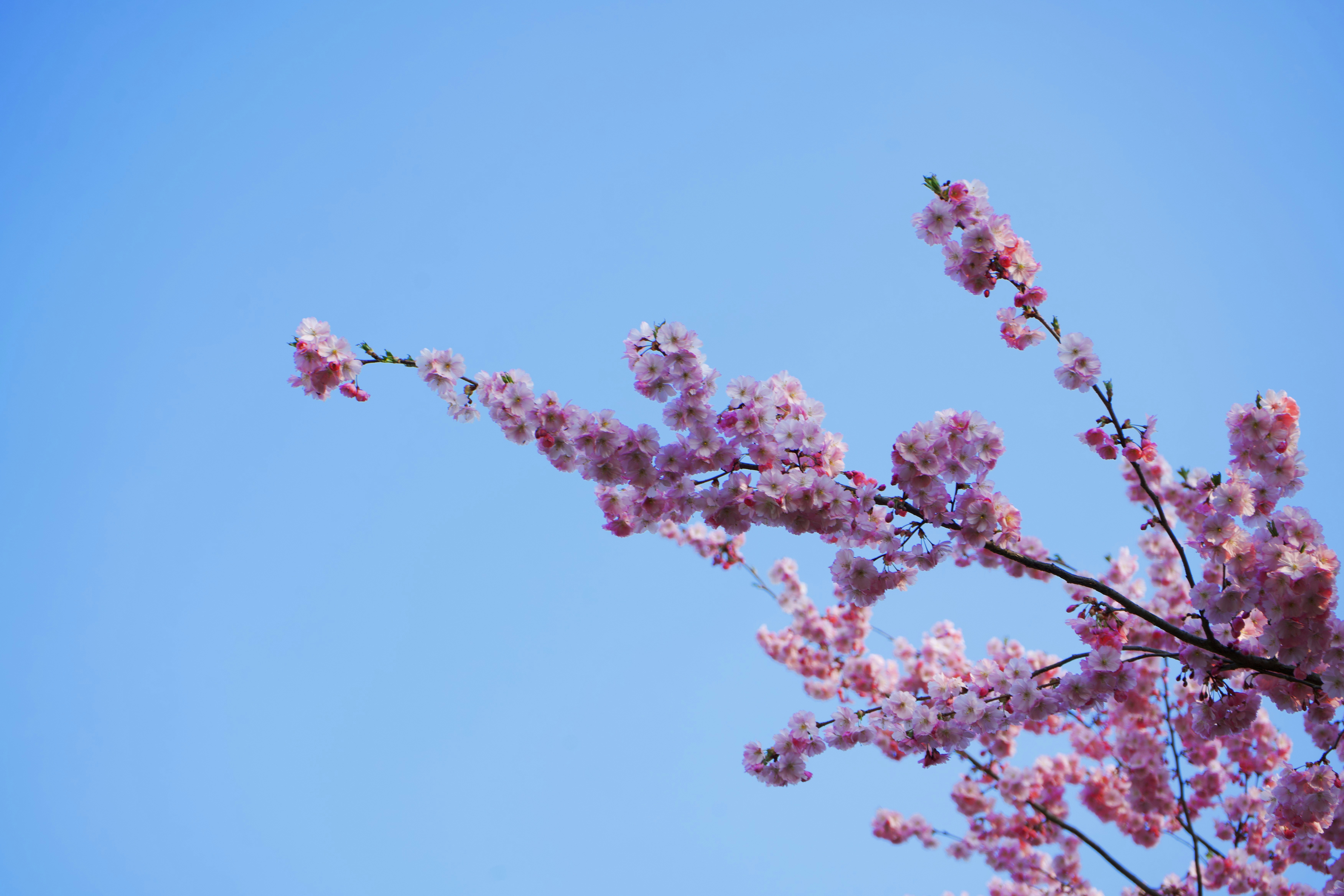 Photo by jo_negatives