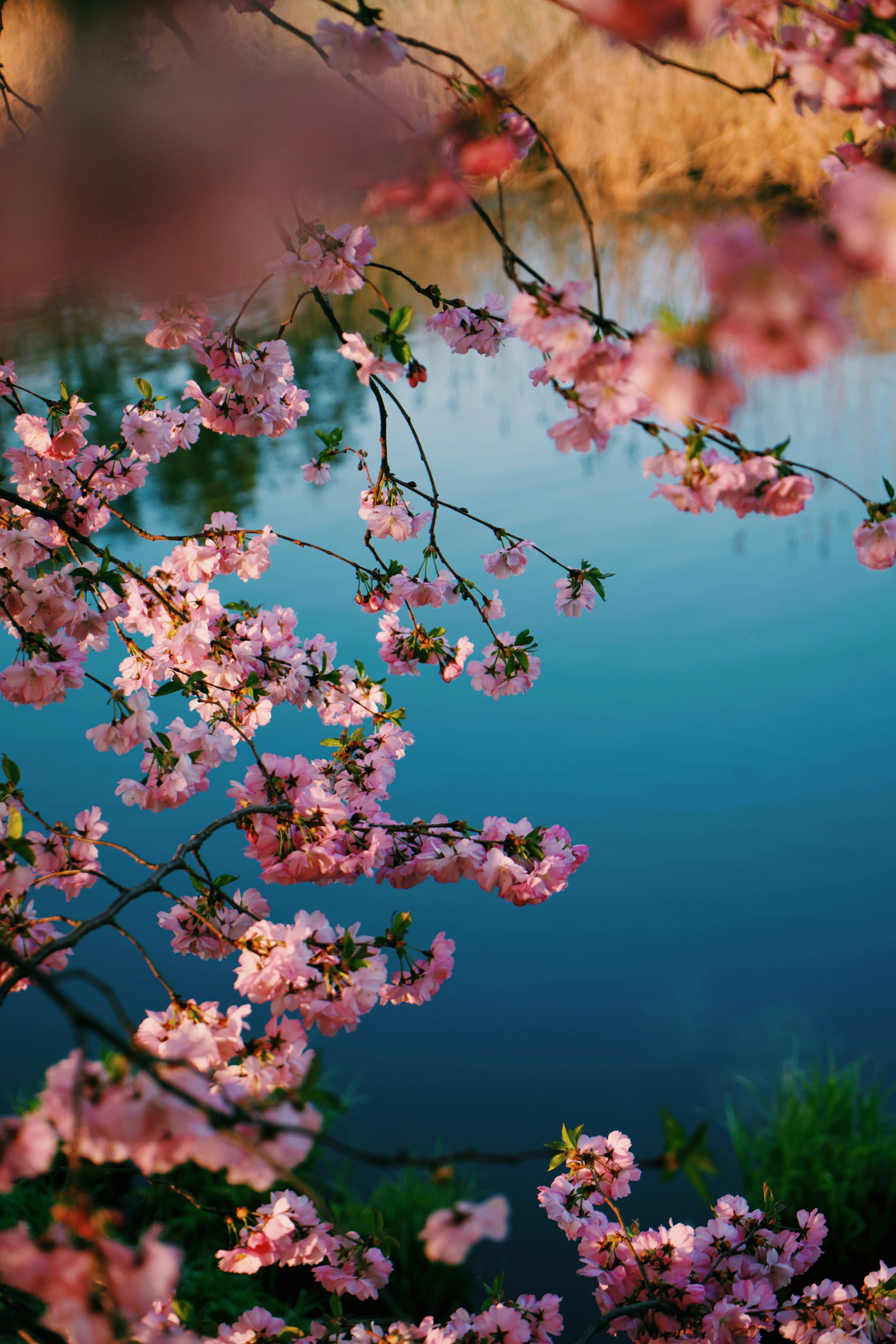 Photo by jo_negatives