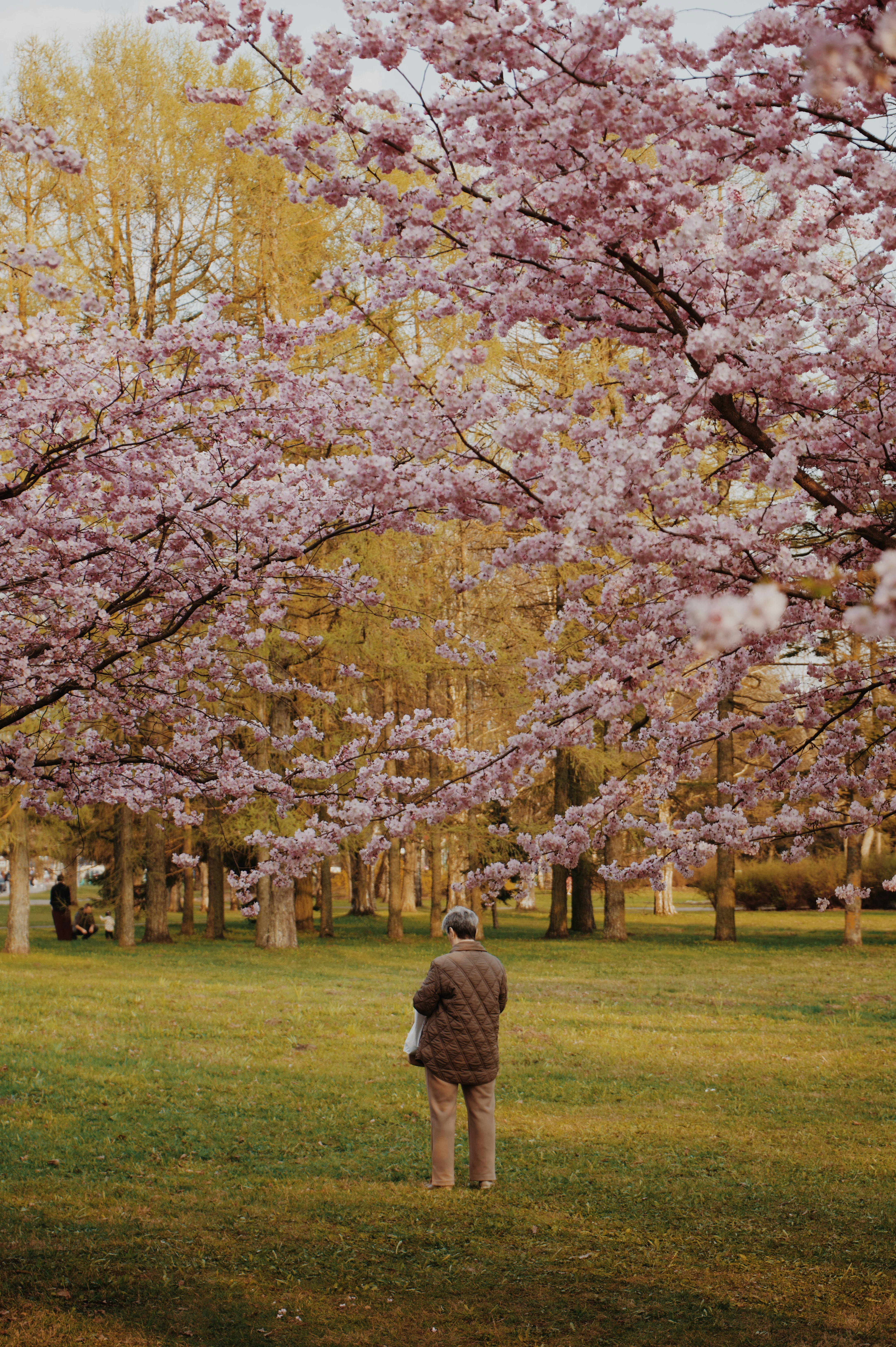 Photo by jo_negatives