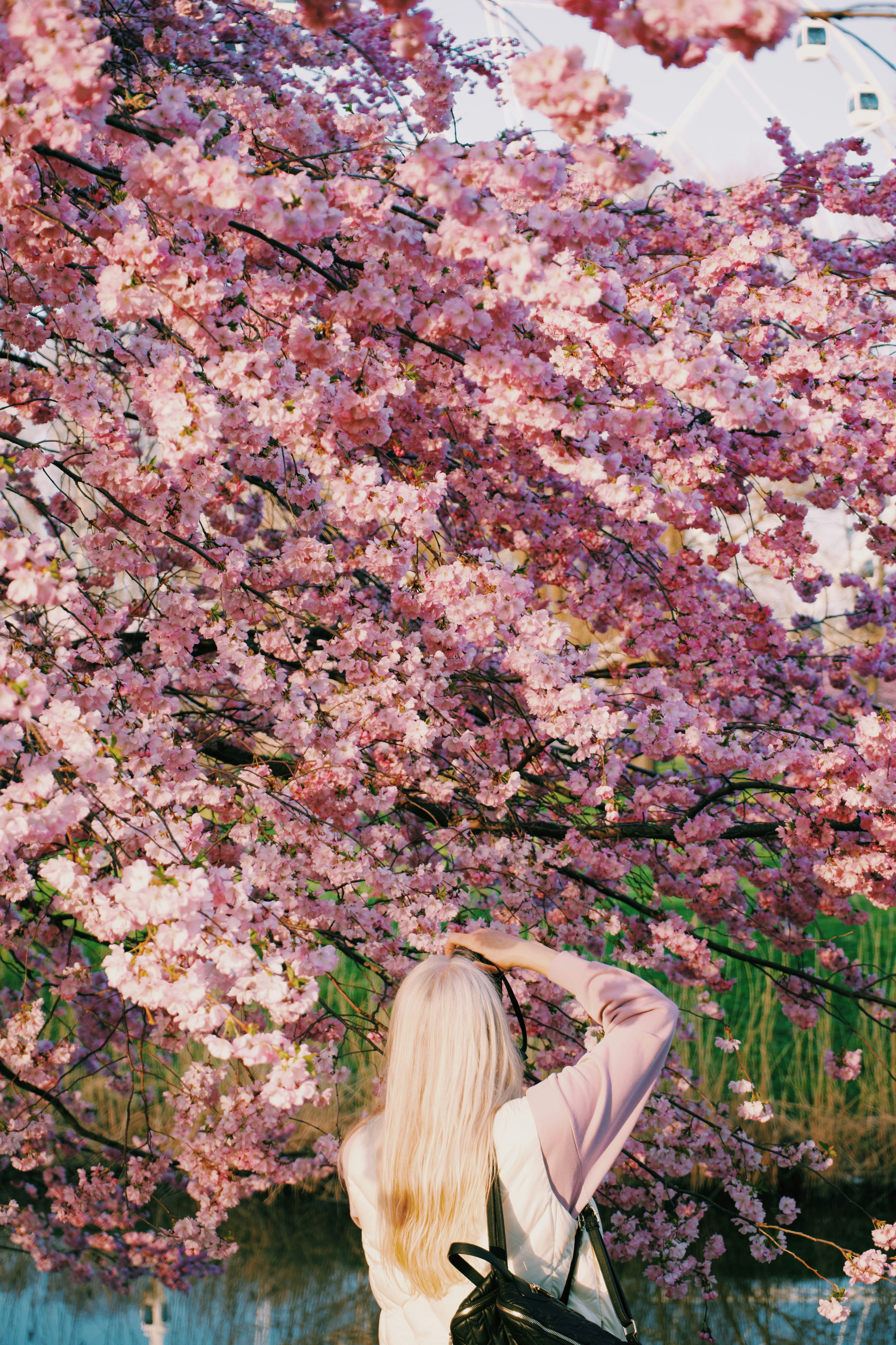 Photo by jo_negatives