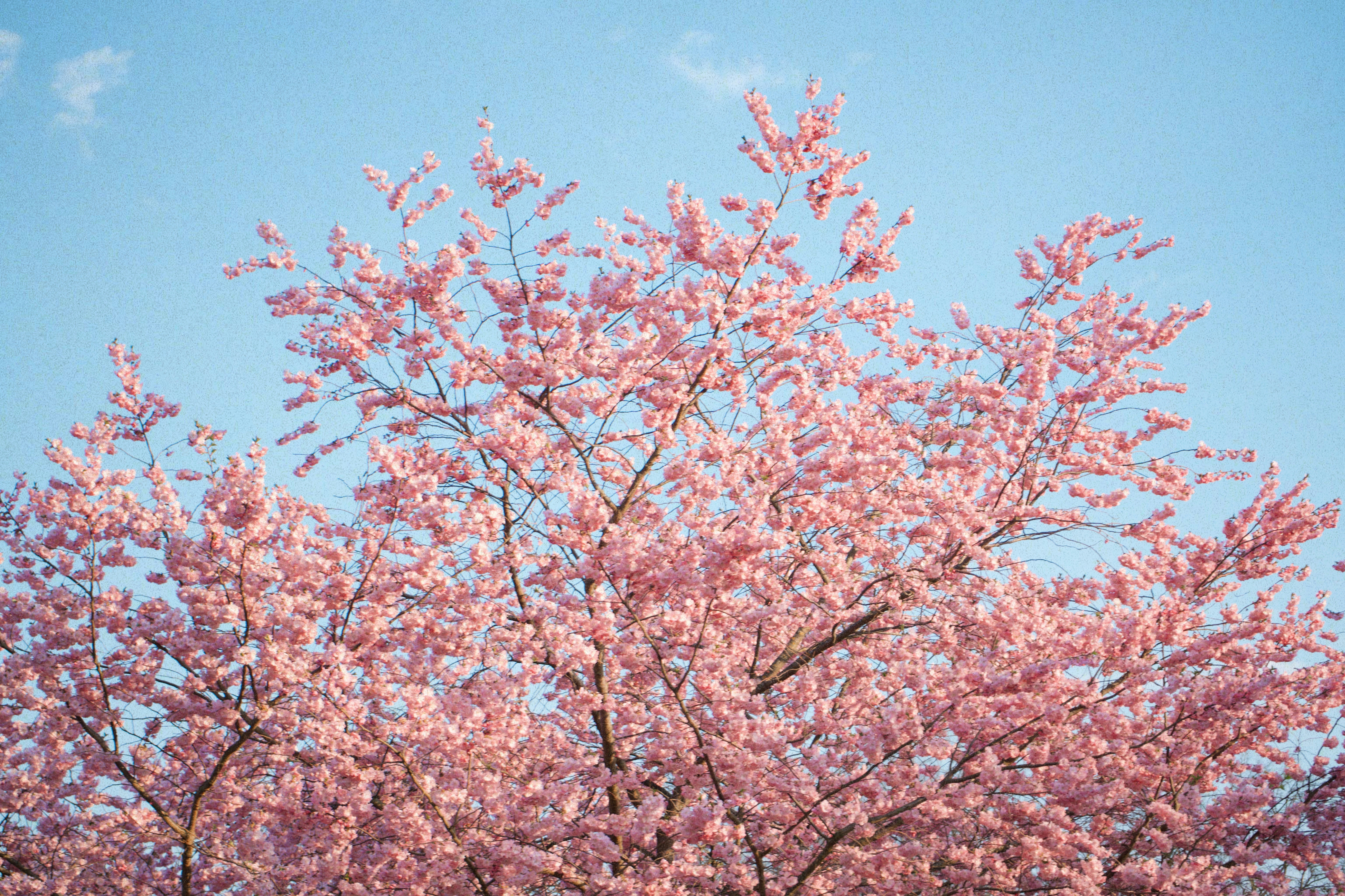 Photo by jo_negatives