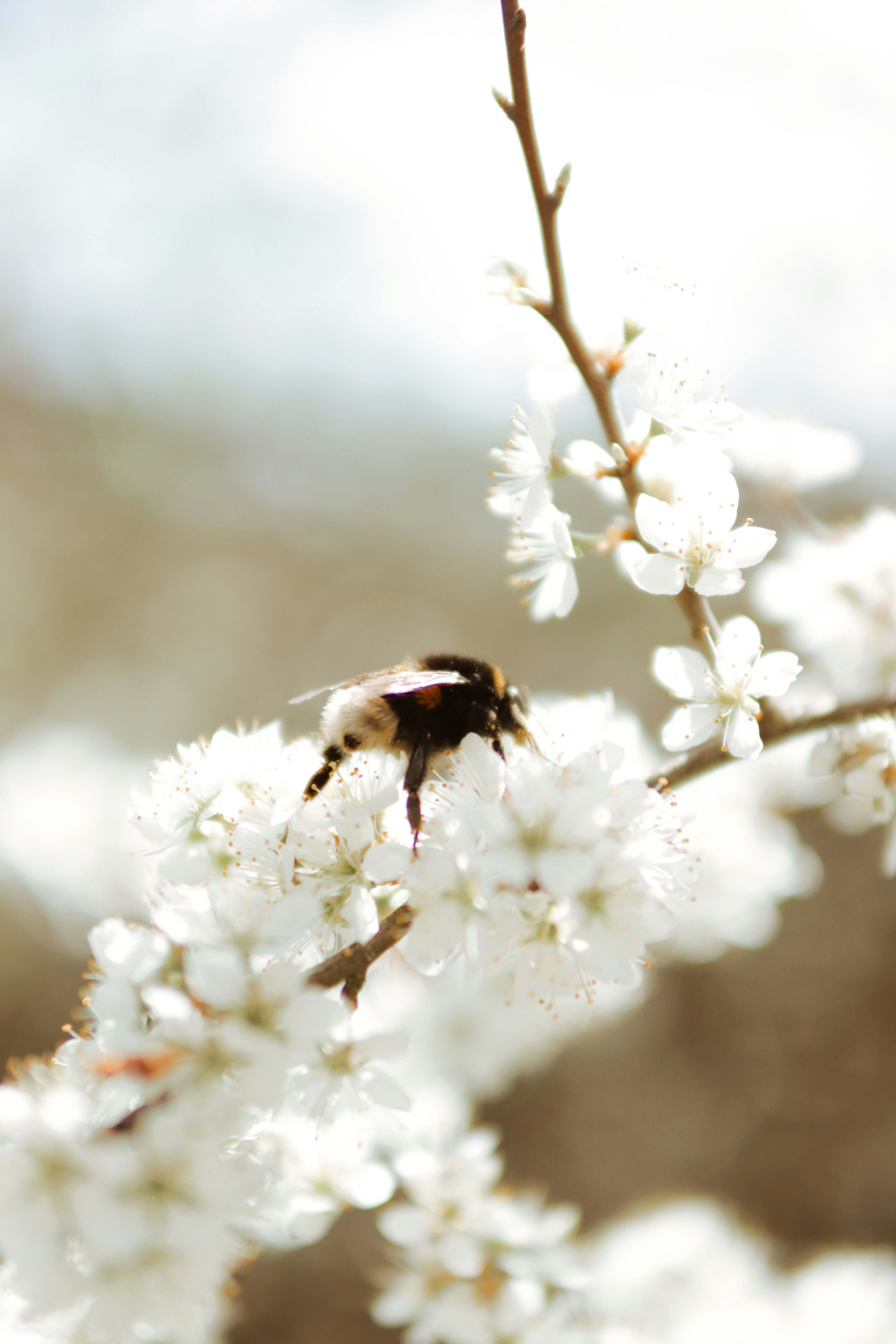 Photo by meister_stamm