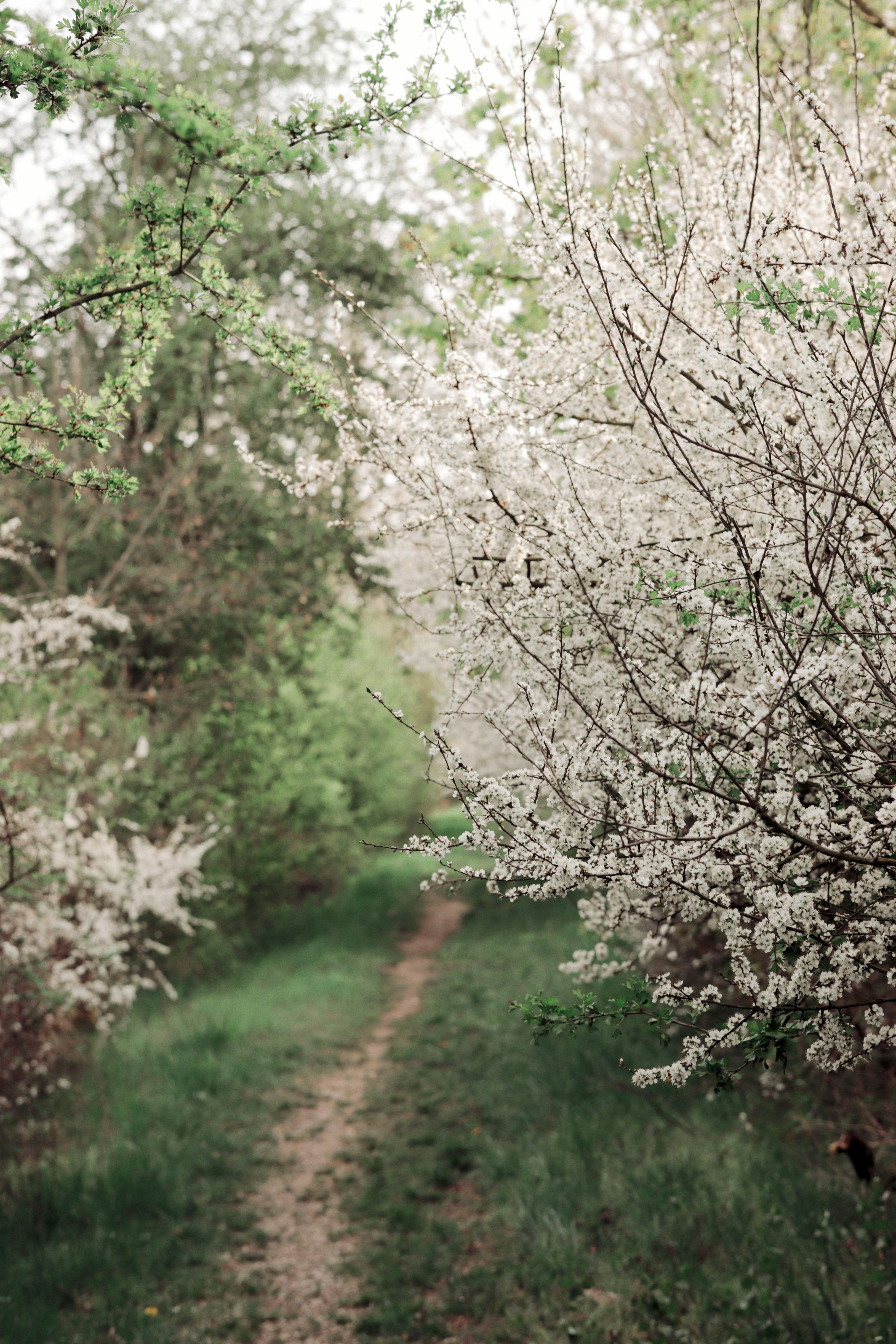 Photo by meister_stamm