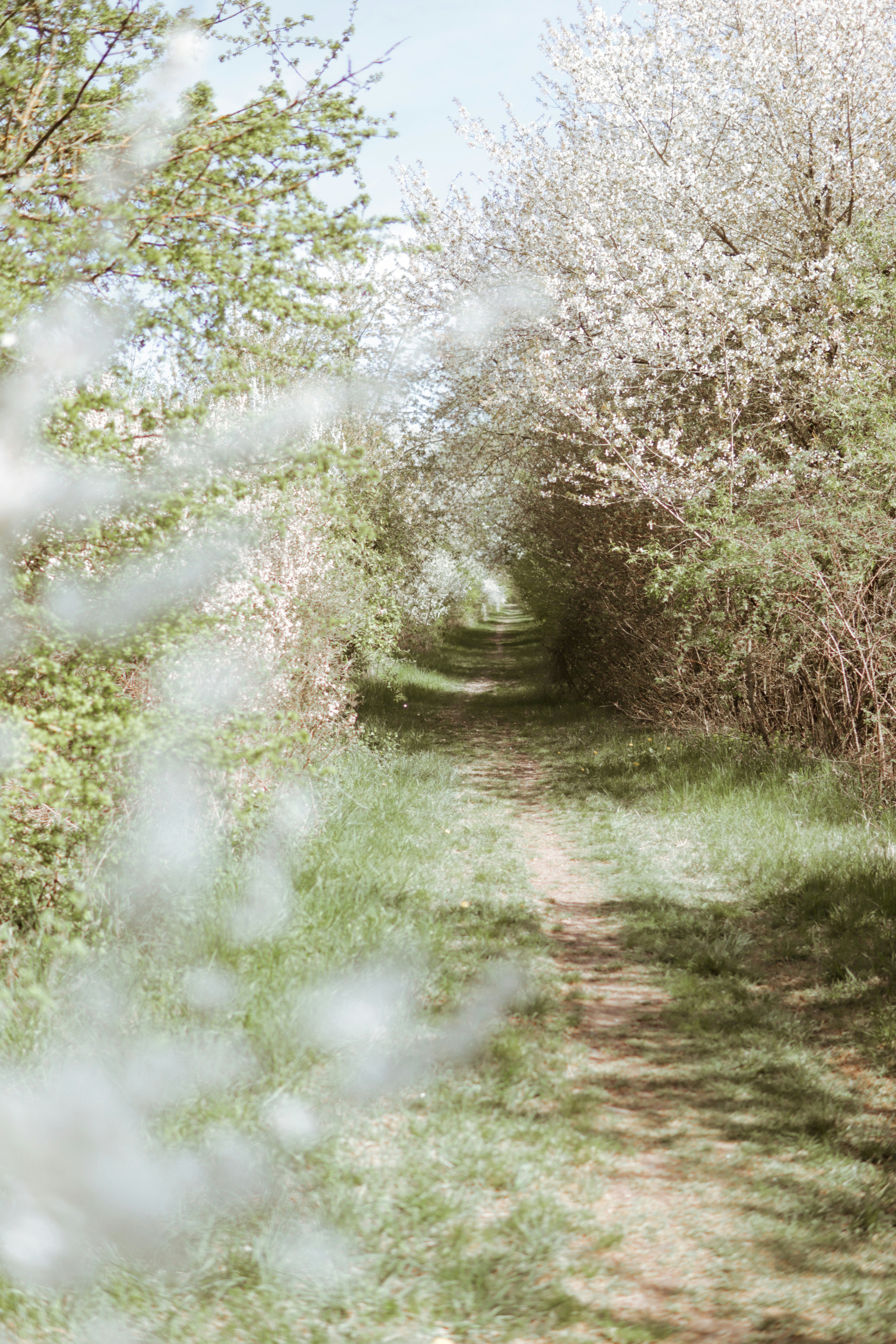 Photo by meister_stamm