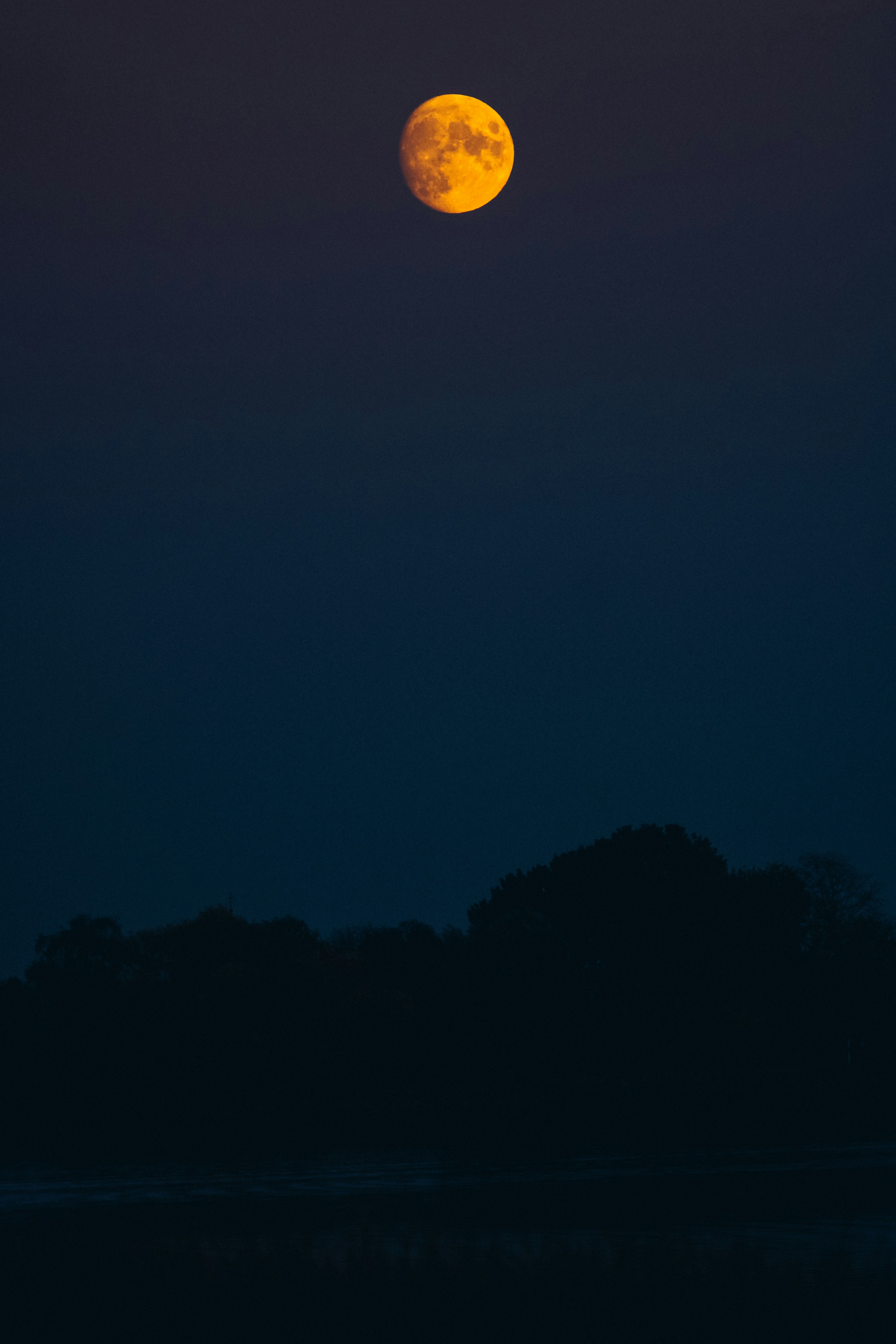 Photo by mineral_of_demon