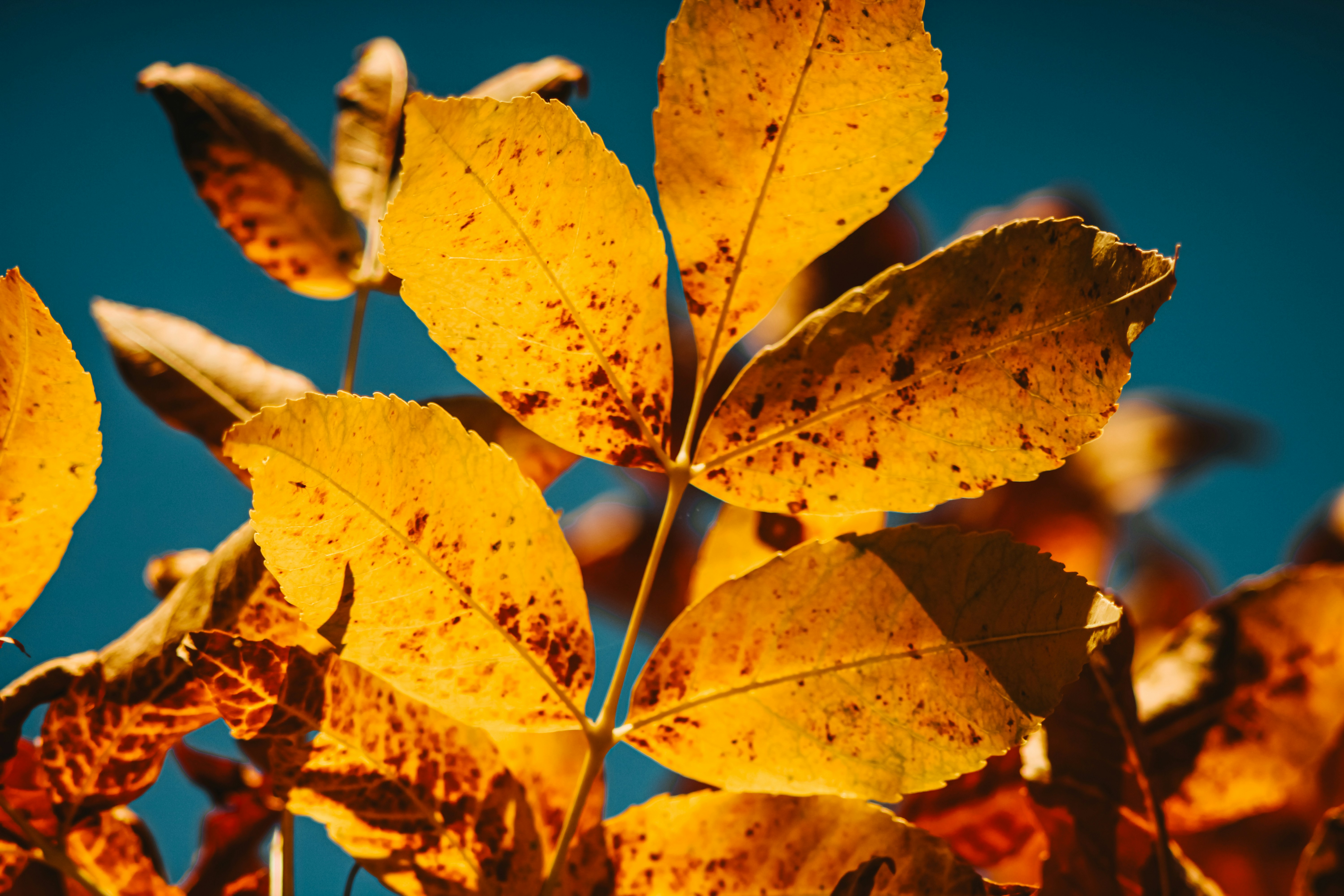 Photo by mineral_of_demon